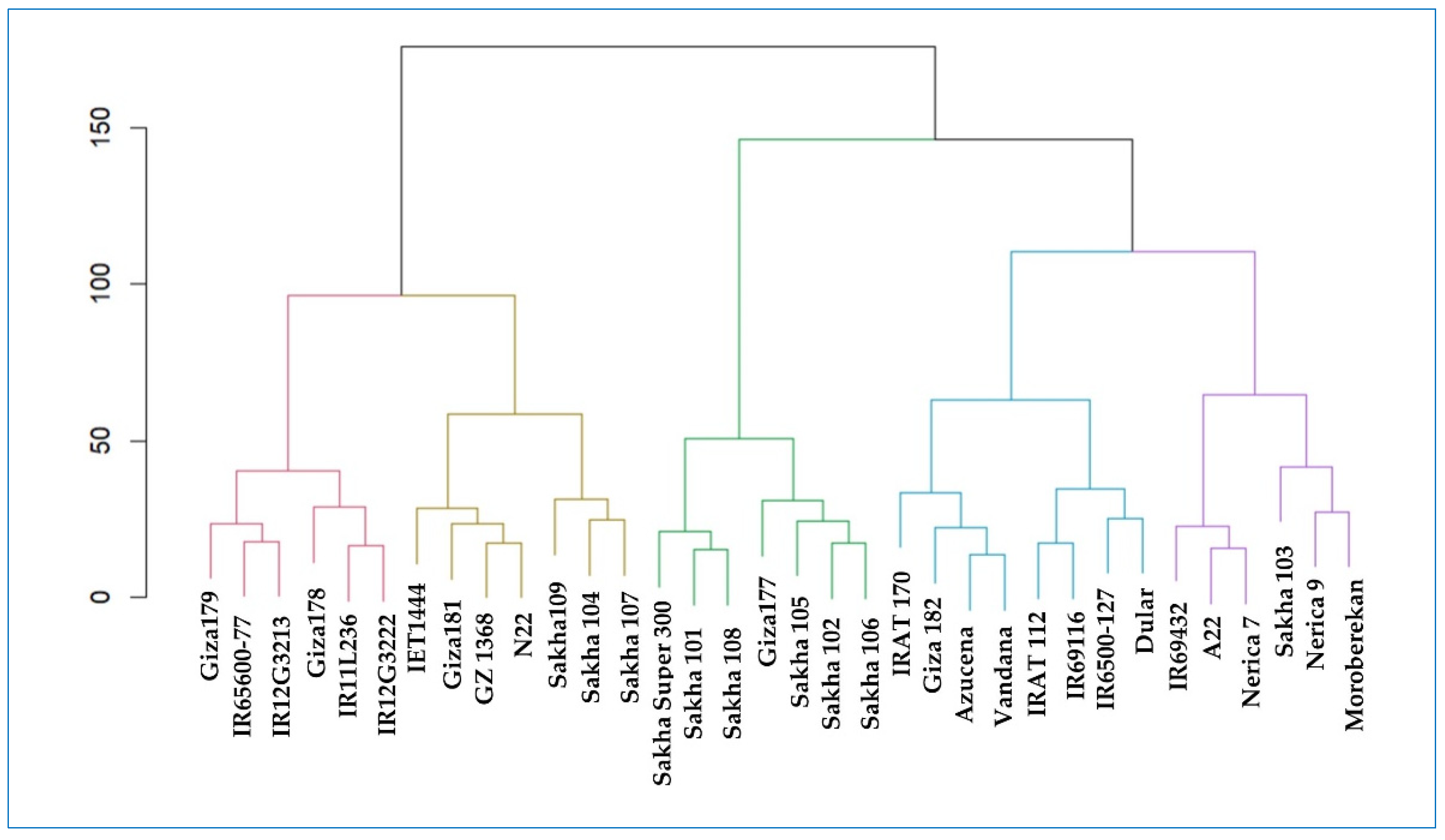 Plants 13 00074 g005