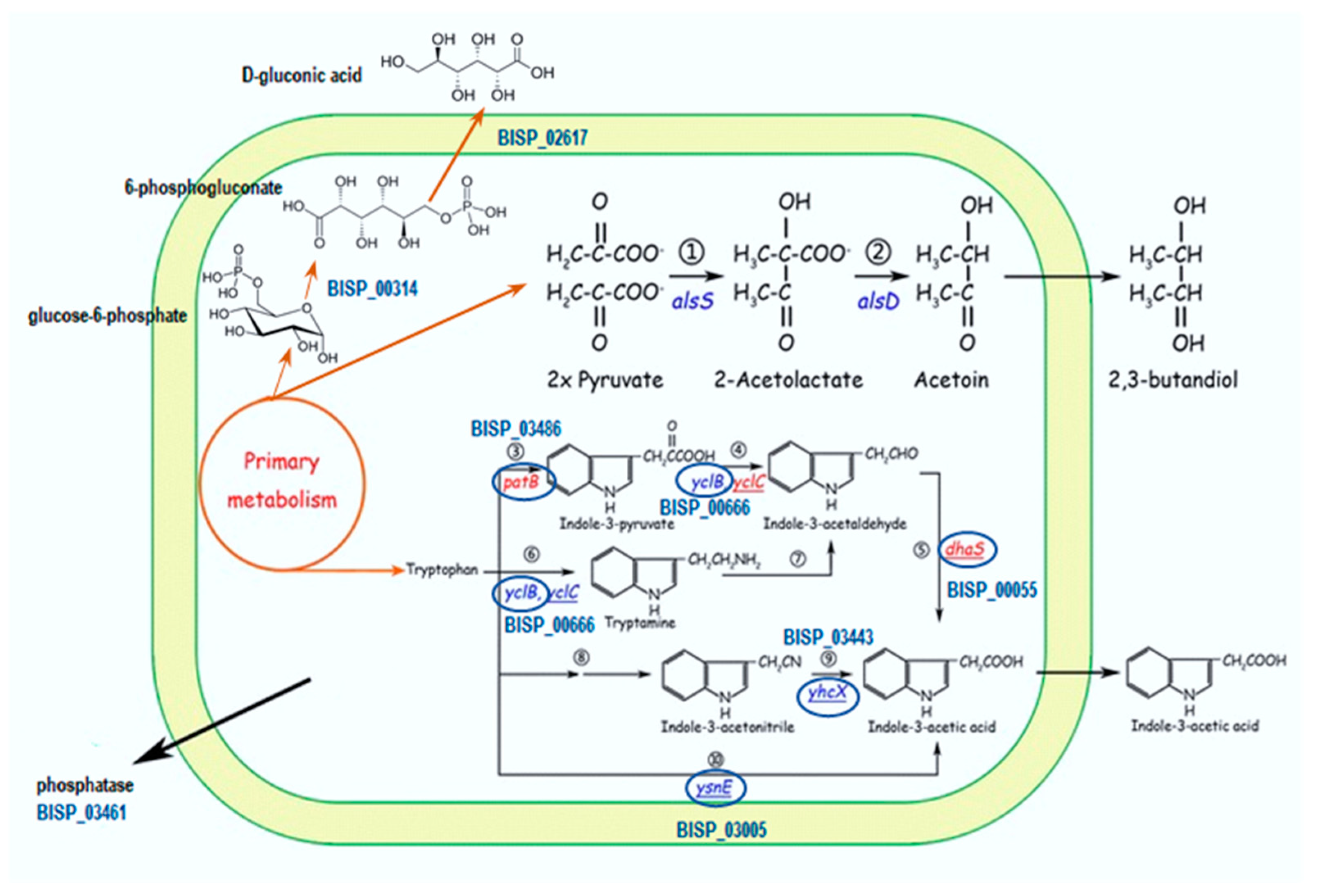 Plants 13 00075 g009
