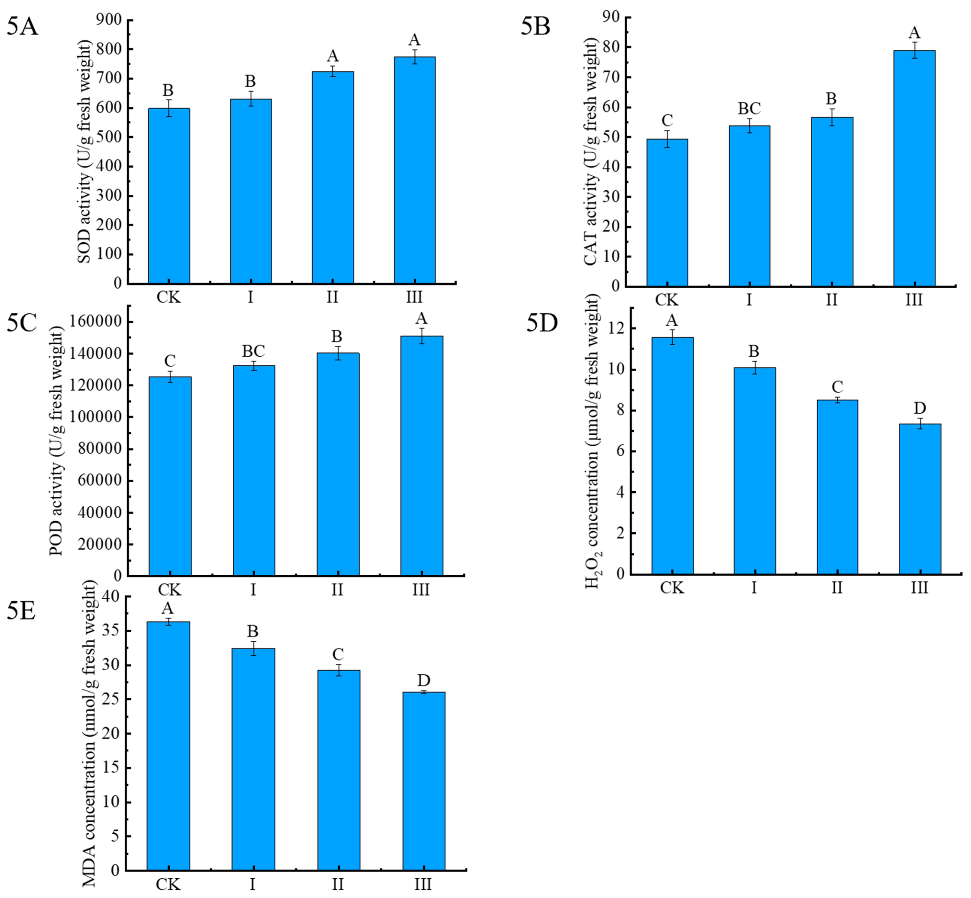 Plants 13 00076 g005