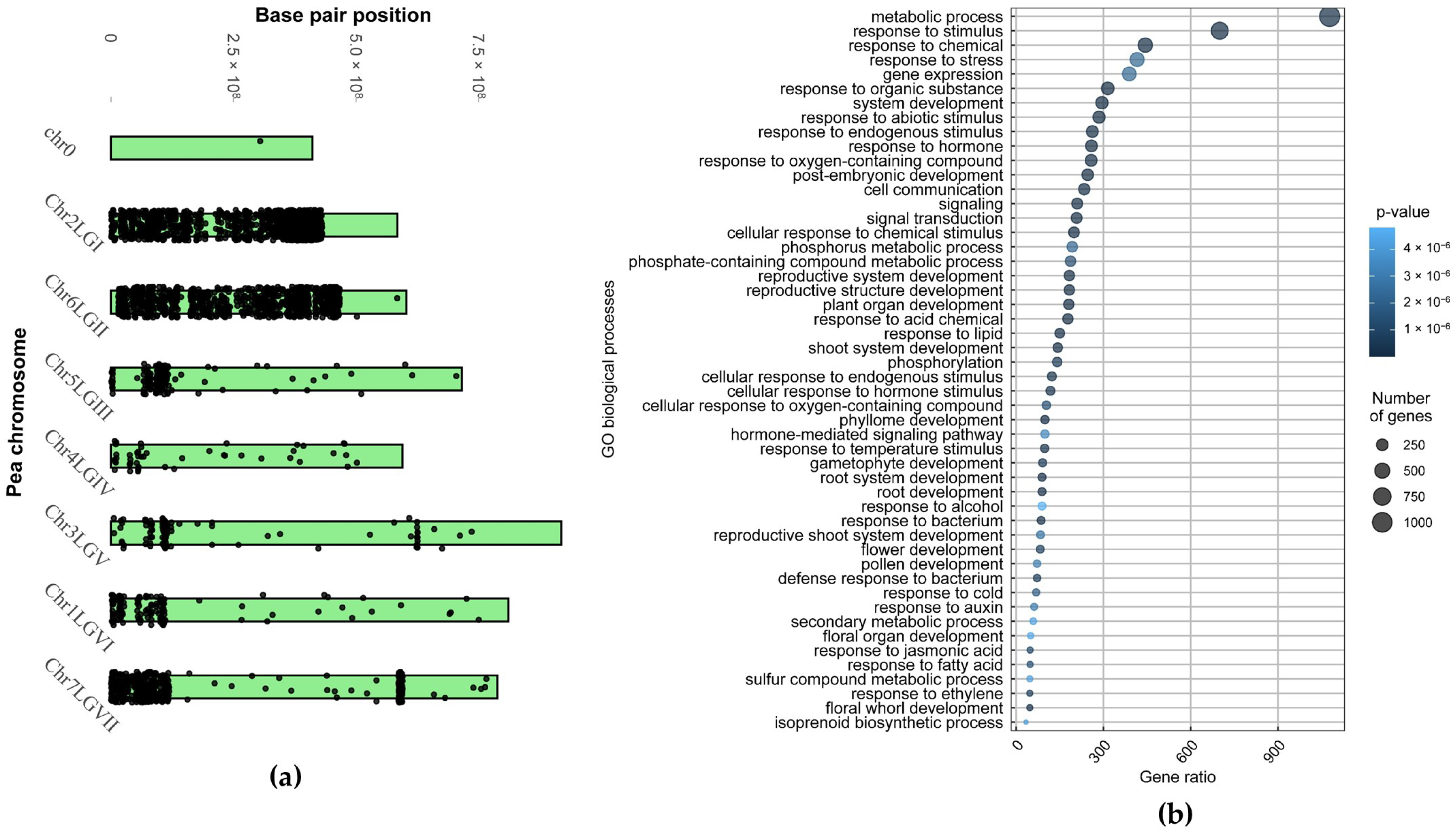 Plants 13 00078 g001 Plants 13 00078 g001