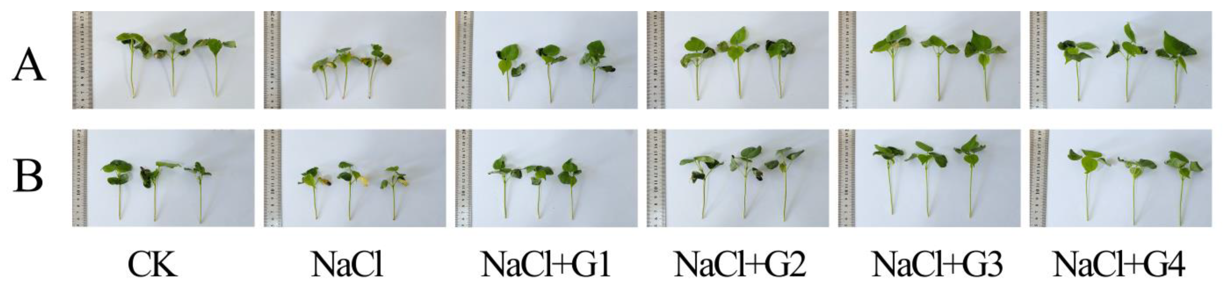 Plants 13 00082 g002 Plants 13 00082 g002