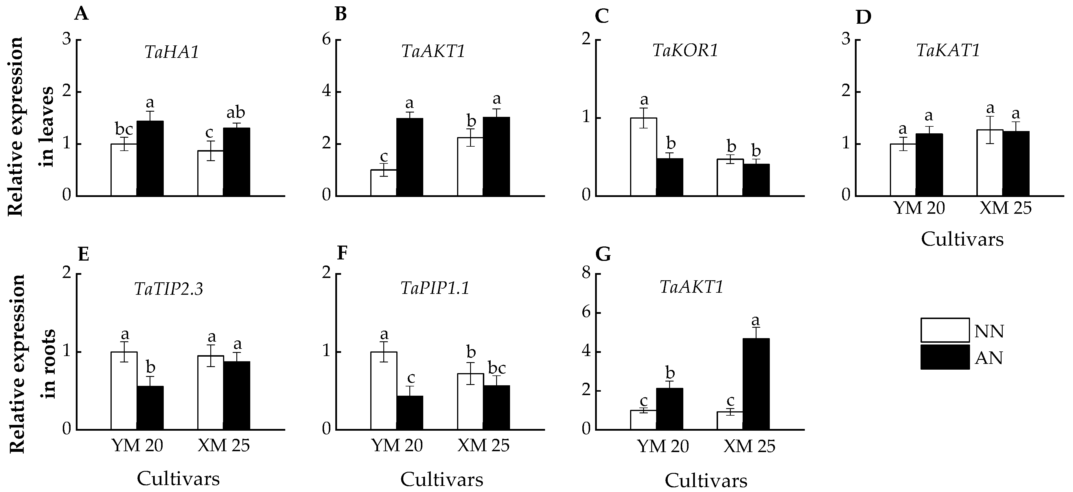 Plants 13 00086 g006