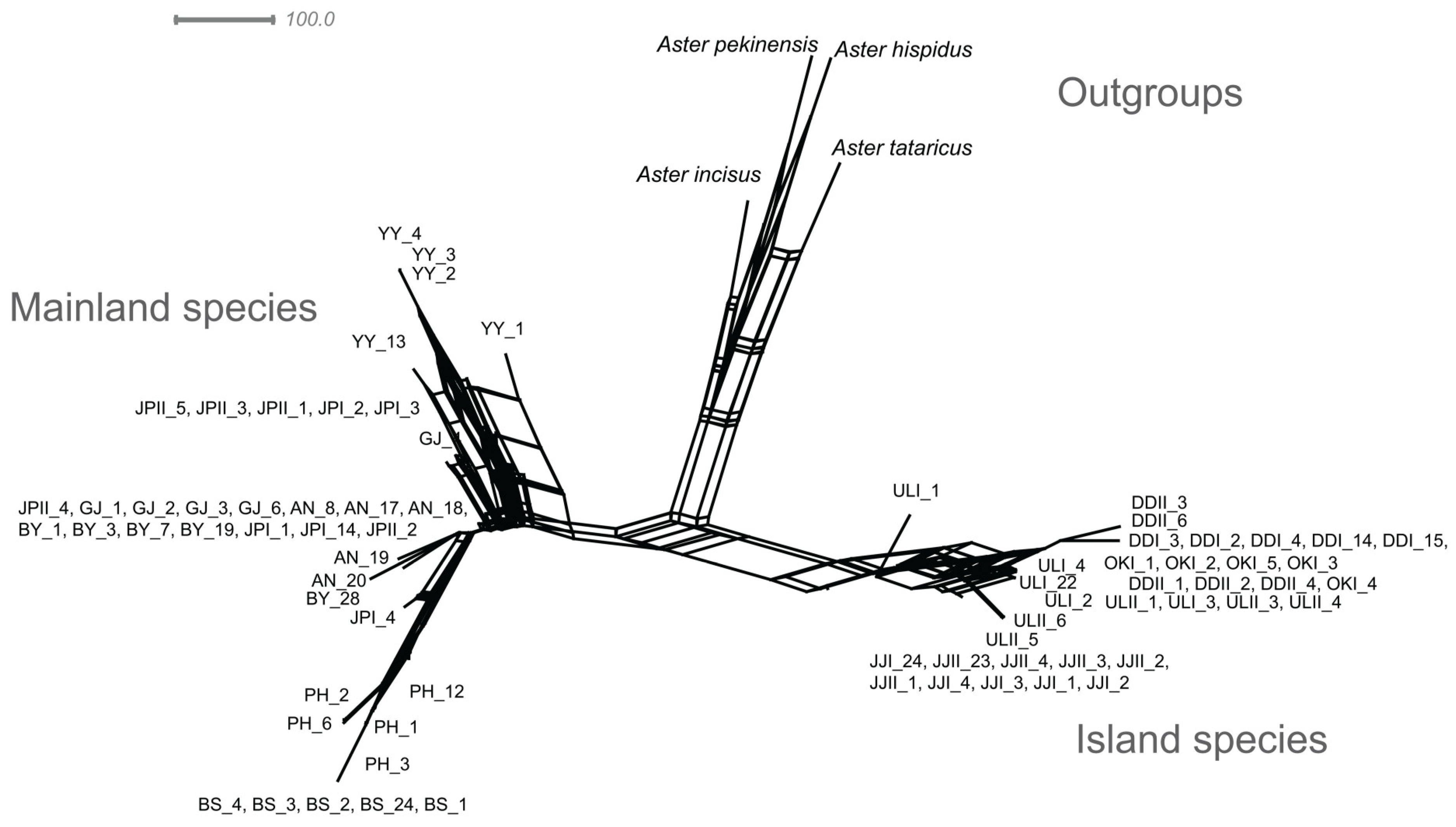 Plants 13 00088 g007