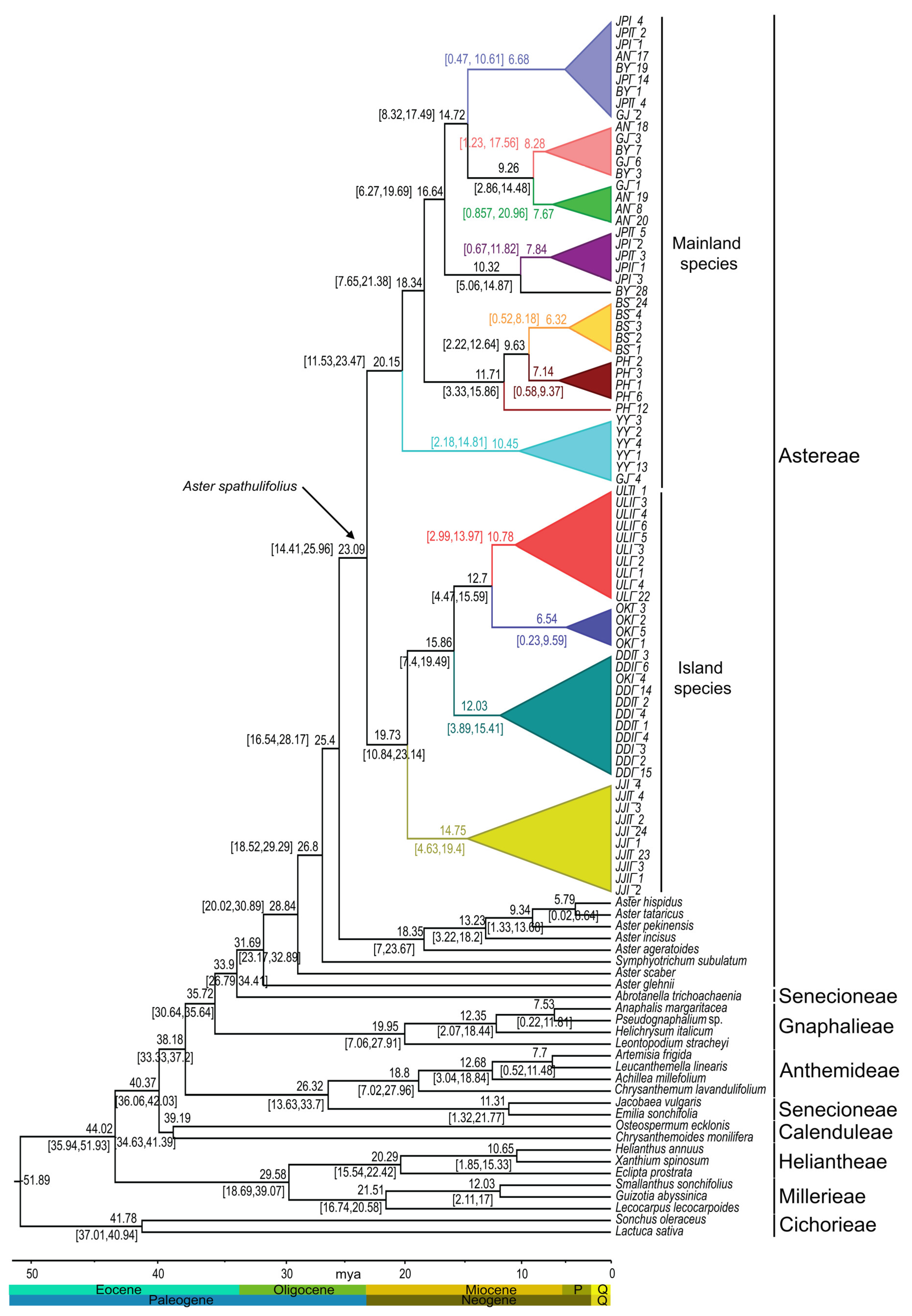 Plants 13 00088 g008