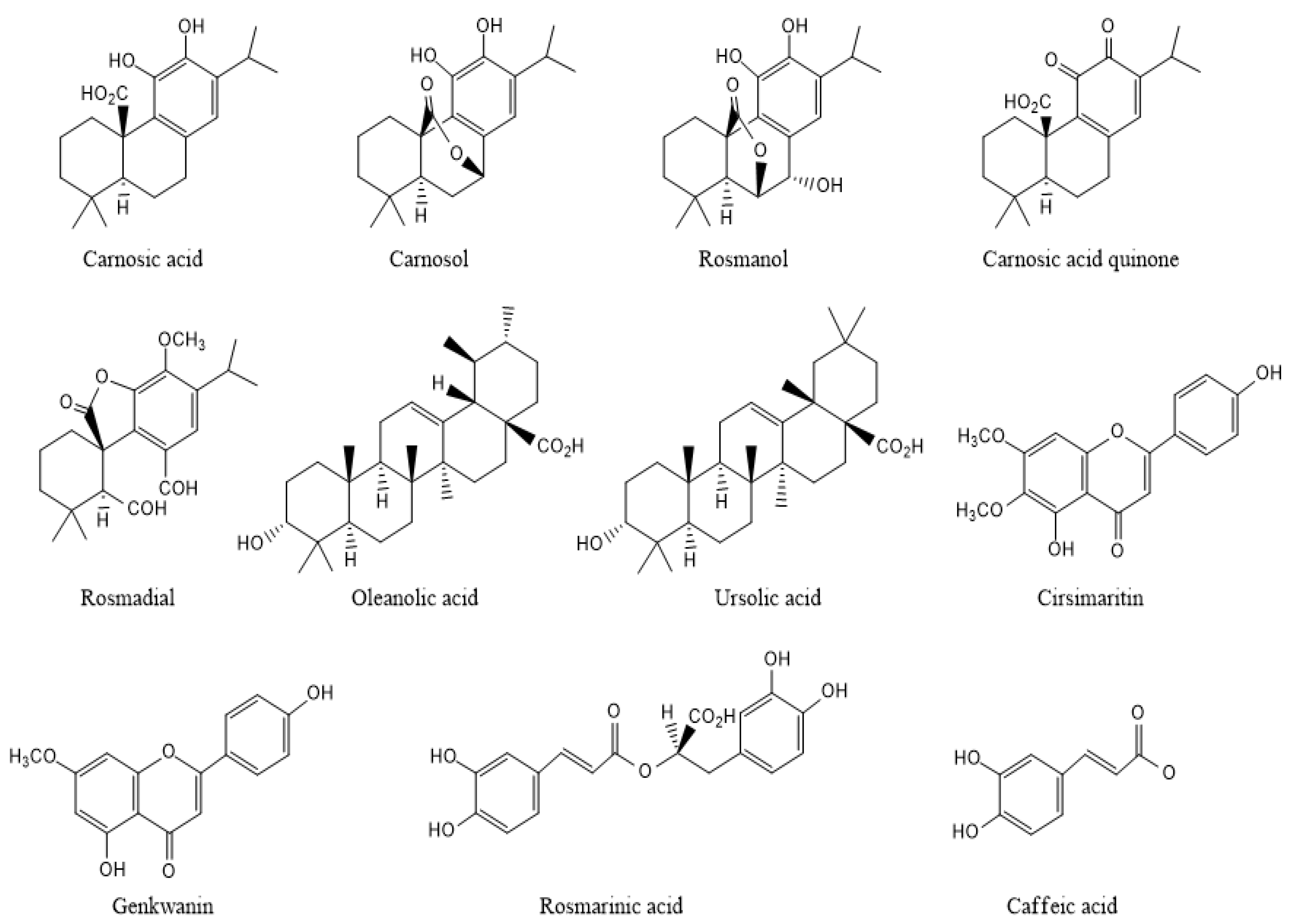 Plants 13 00089 g003