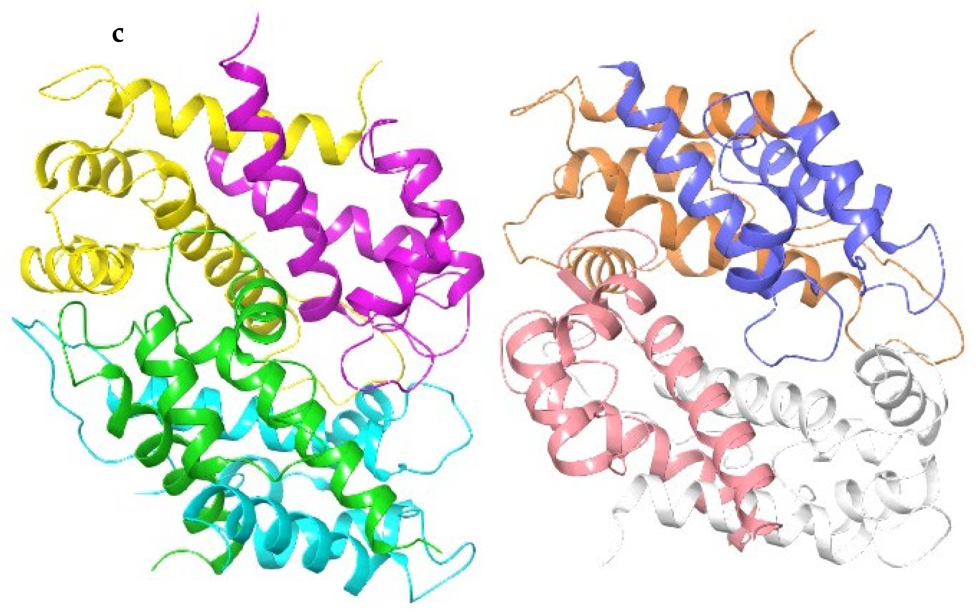 Plants 13 00089 g005b