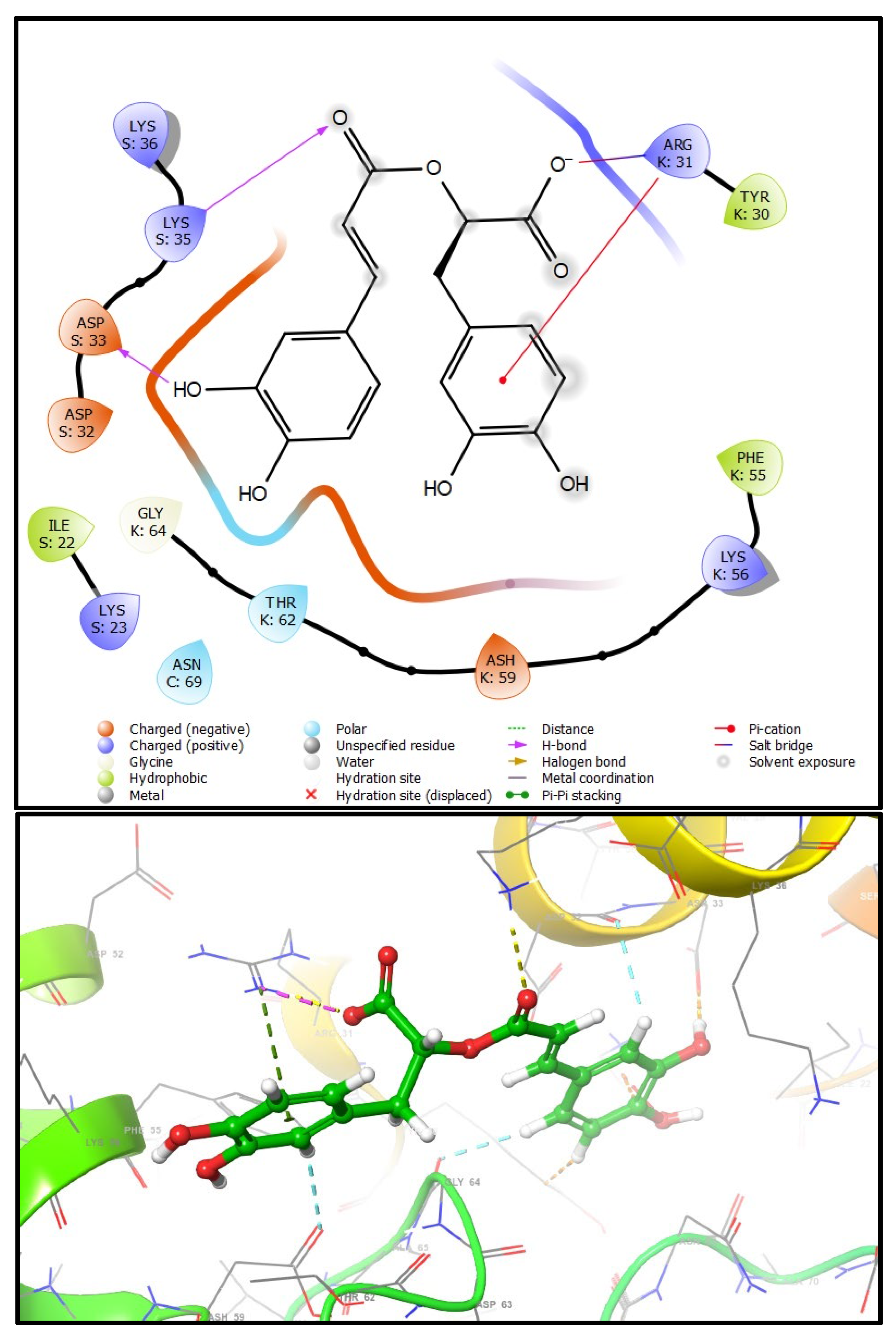 Plants 13 00089 g006