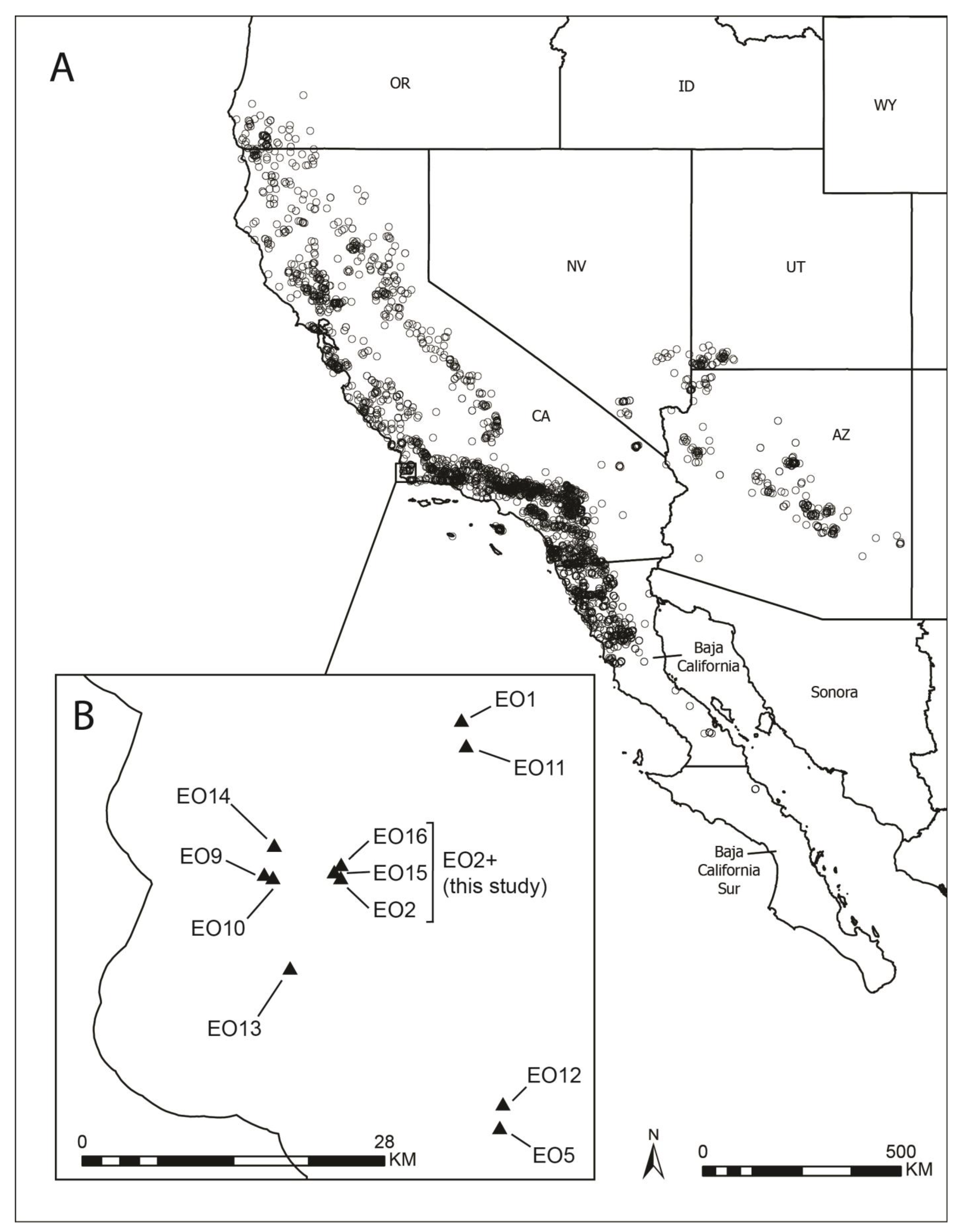 Plants 13 00090 g001 Plants 13 00090 g001