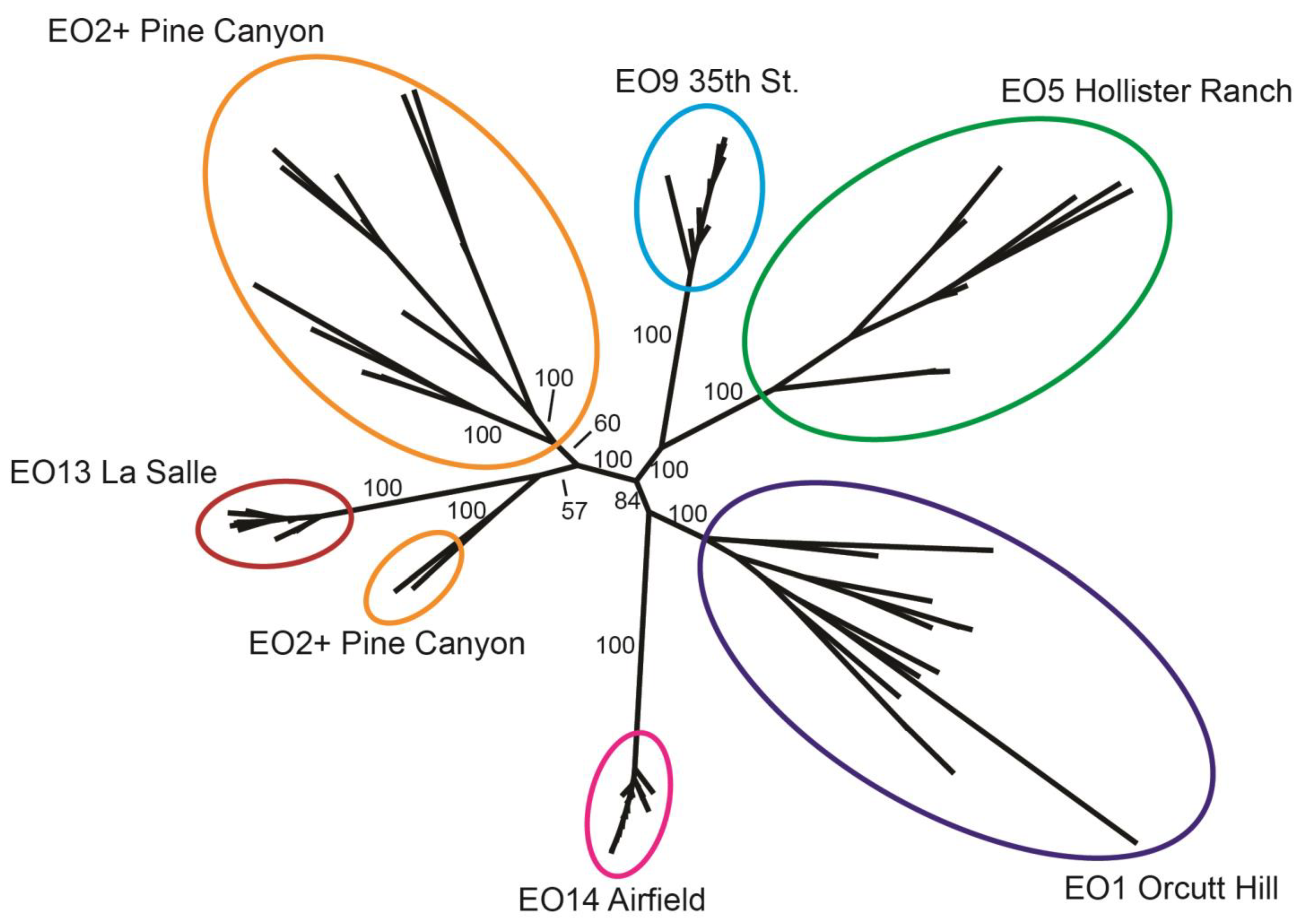 Plants 13 00090 g005 Plants 13 00090 g005