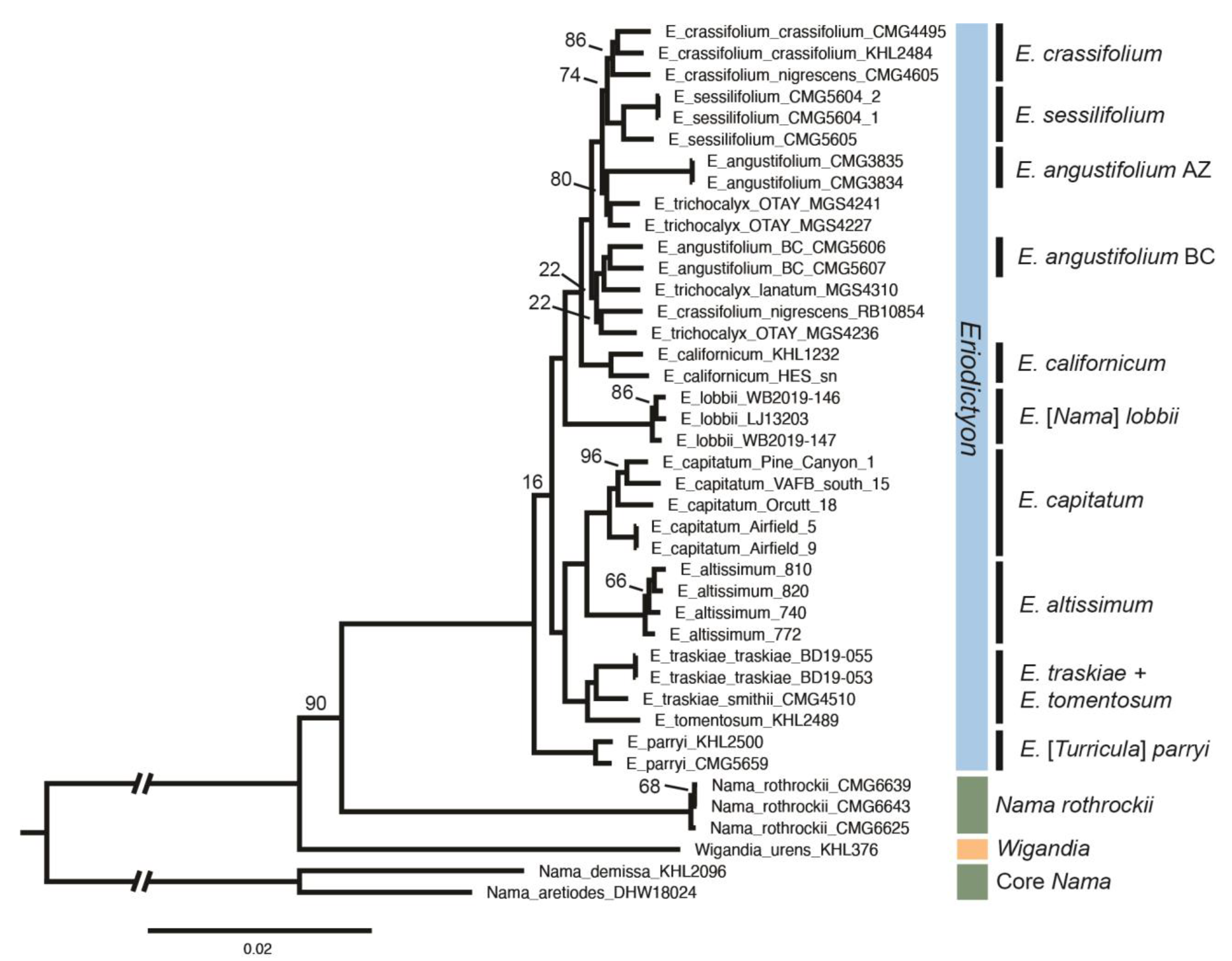 Plants 13 00090 g008 Plants 13 00090 g008