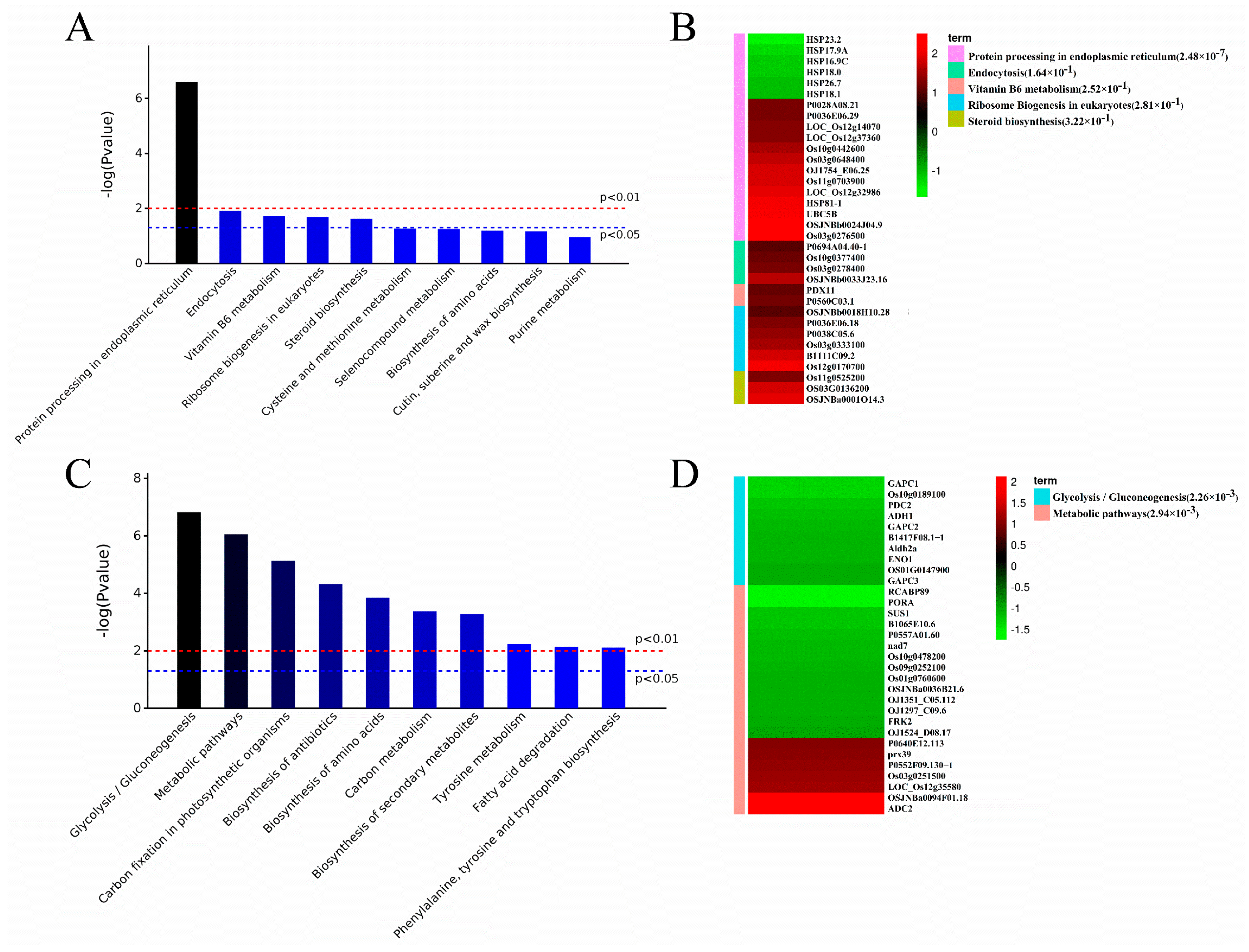Plants 13 00091 g004