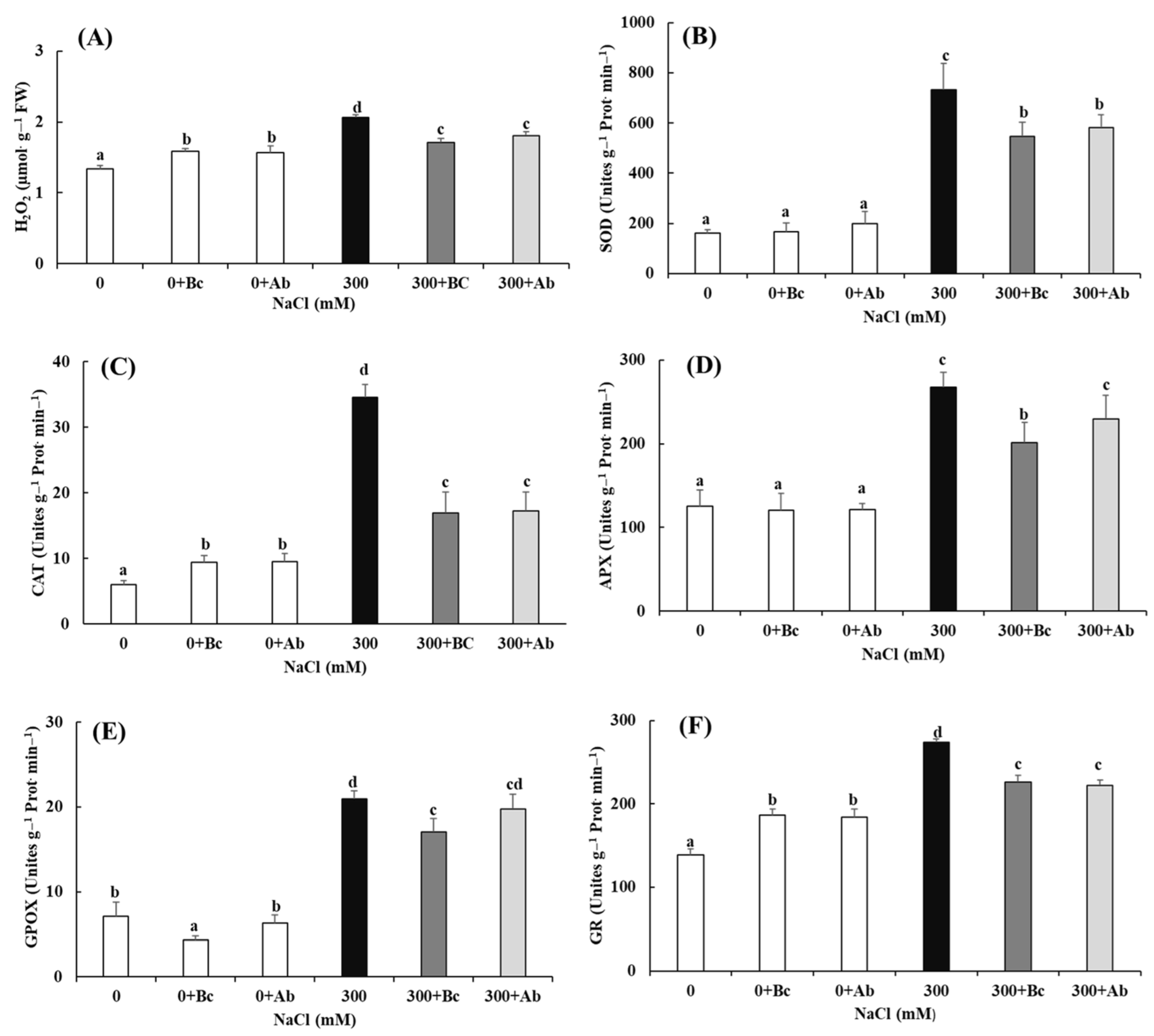 Plants 13 00092 g007
