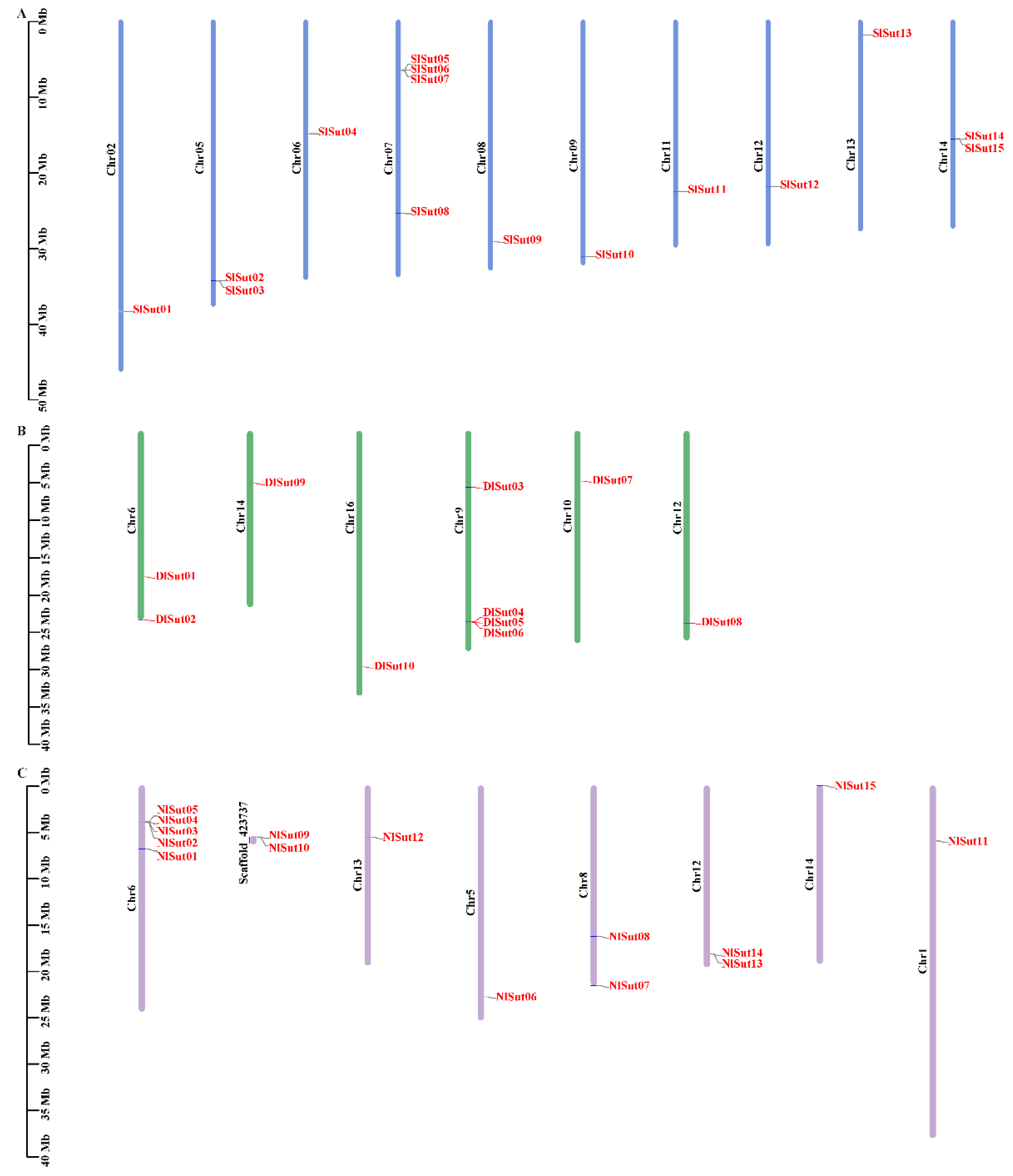 Plants 13 00095 g002