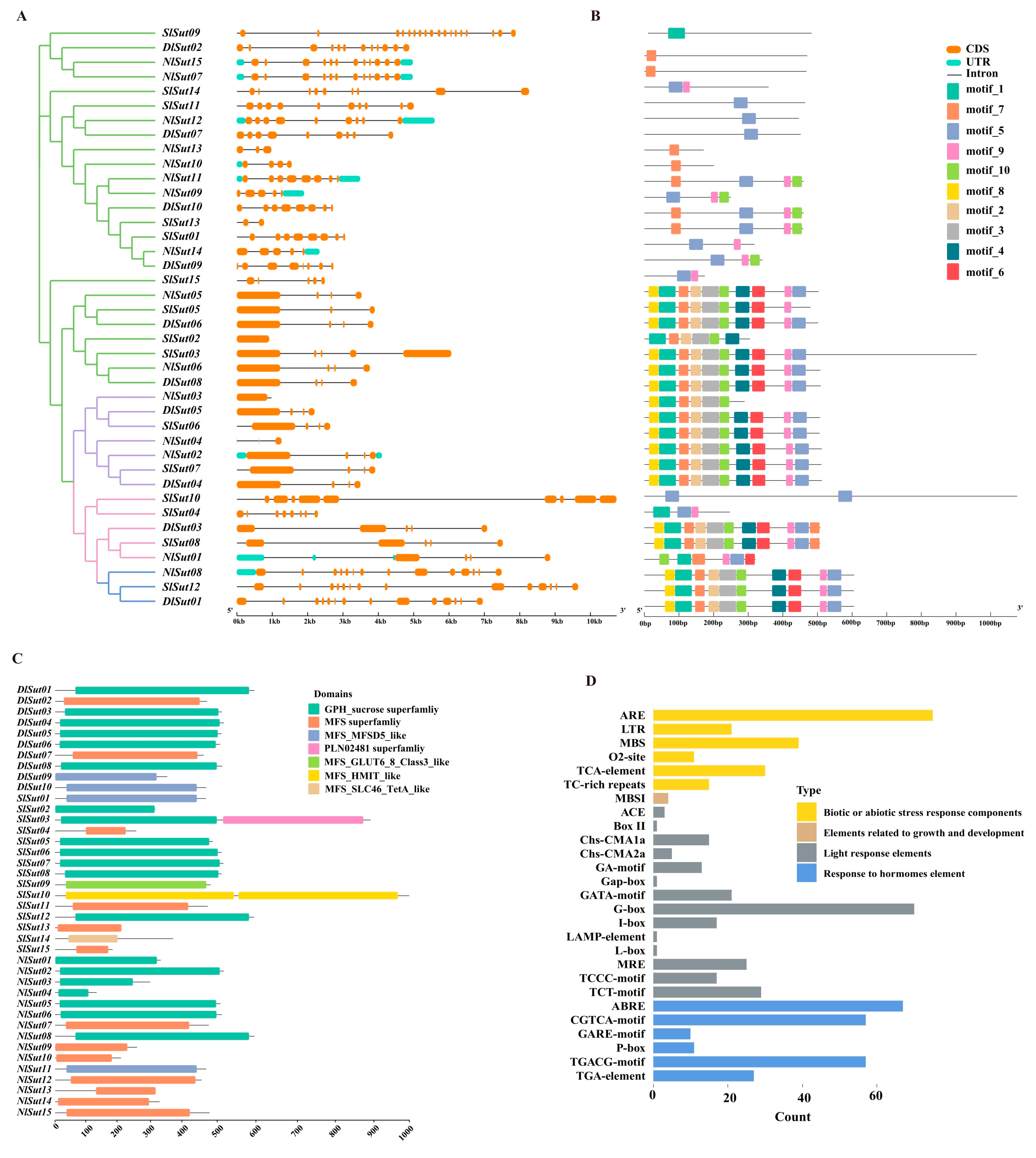 Plants 13 00095 g003