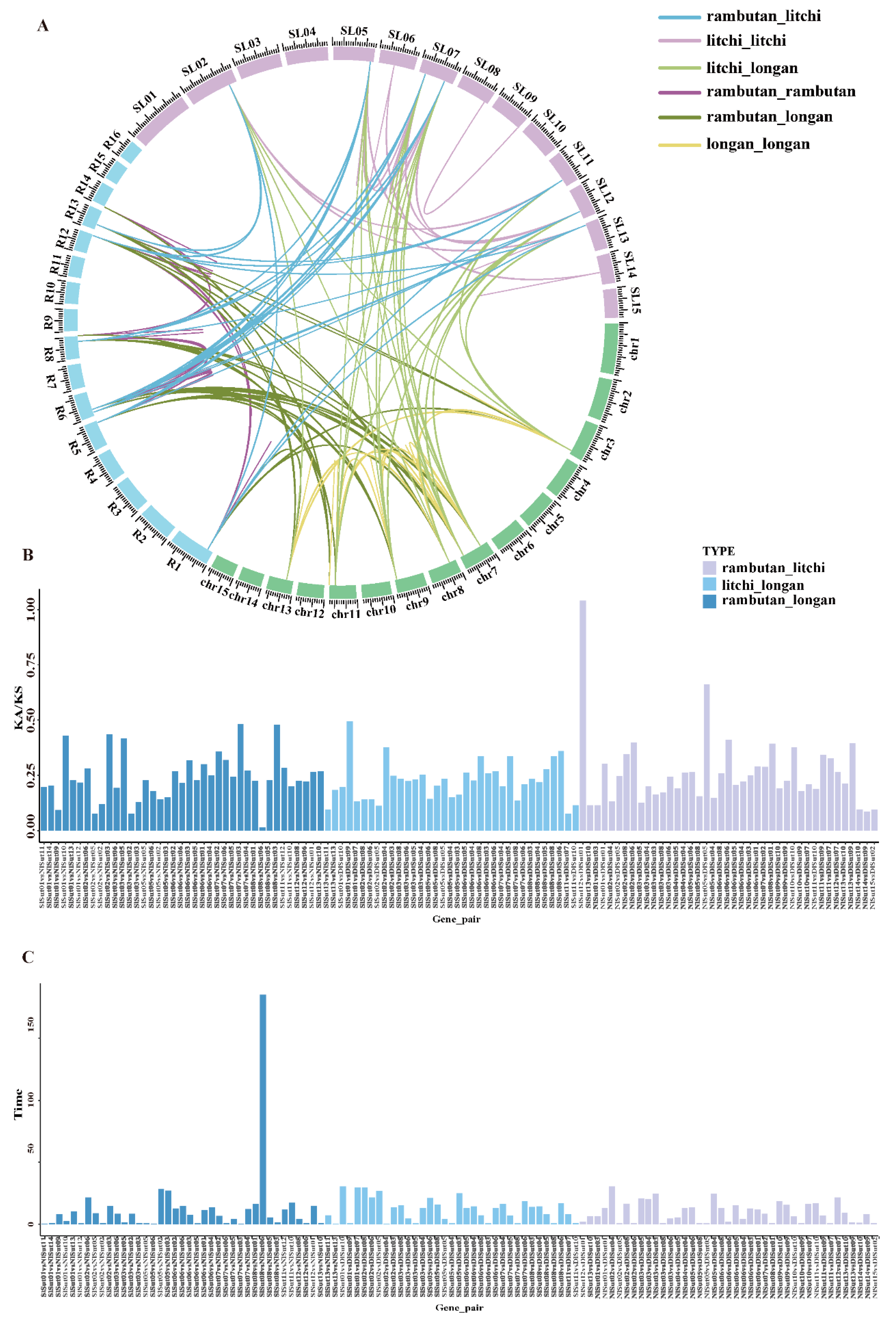 Plants 13 00095 g004