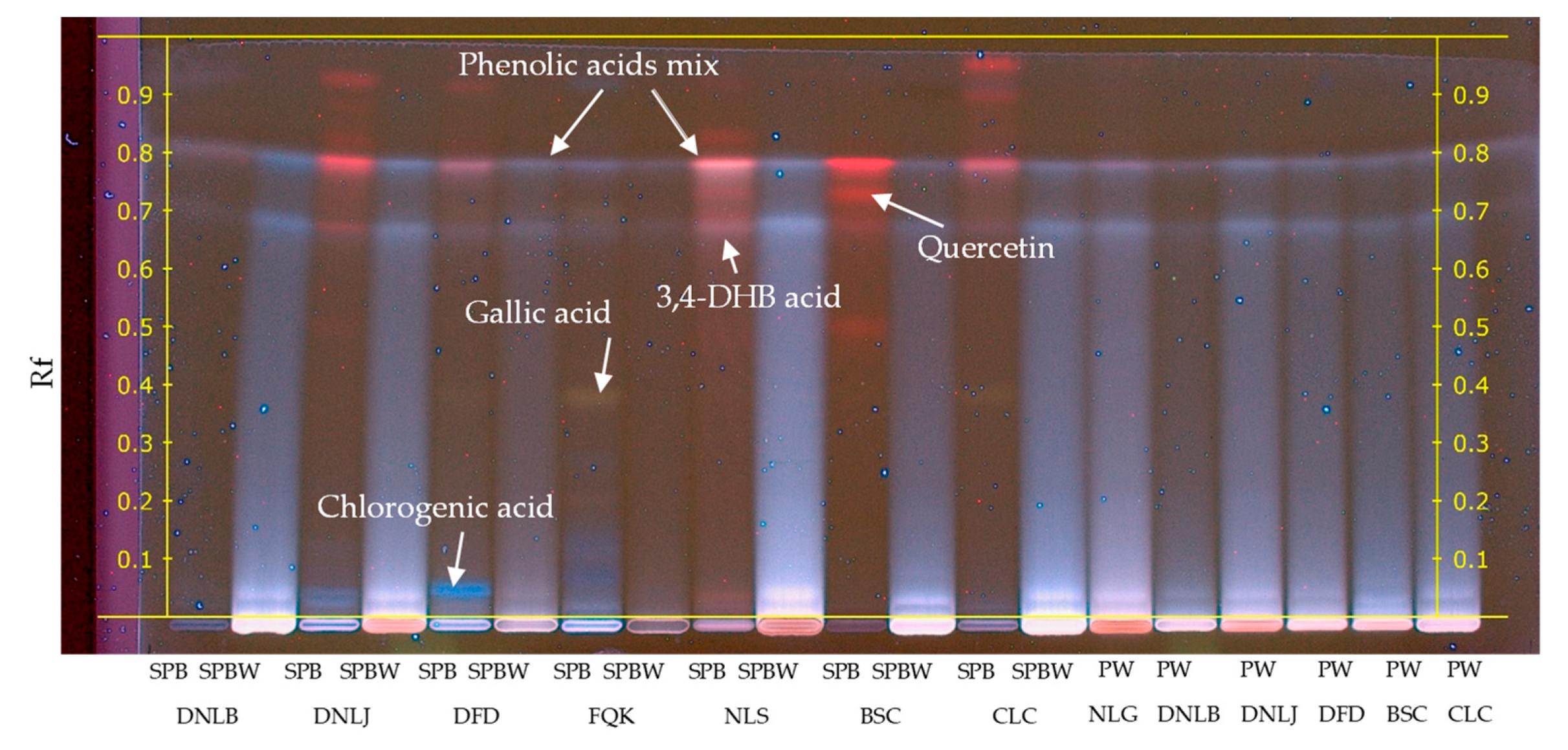 Plants 13 00099 g003