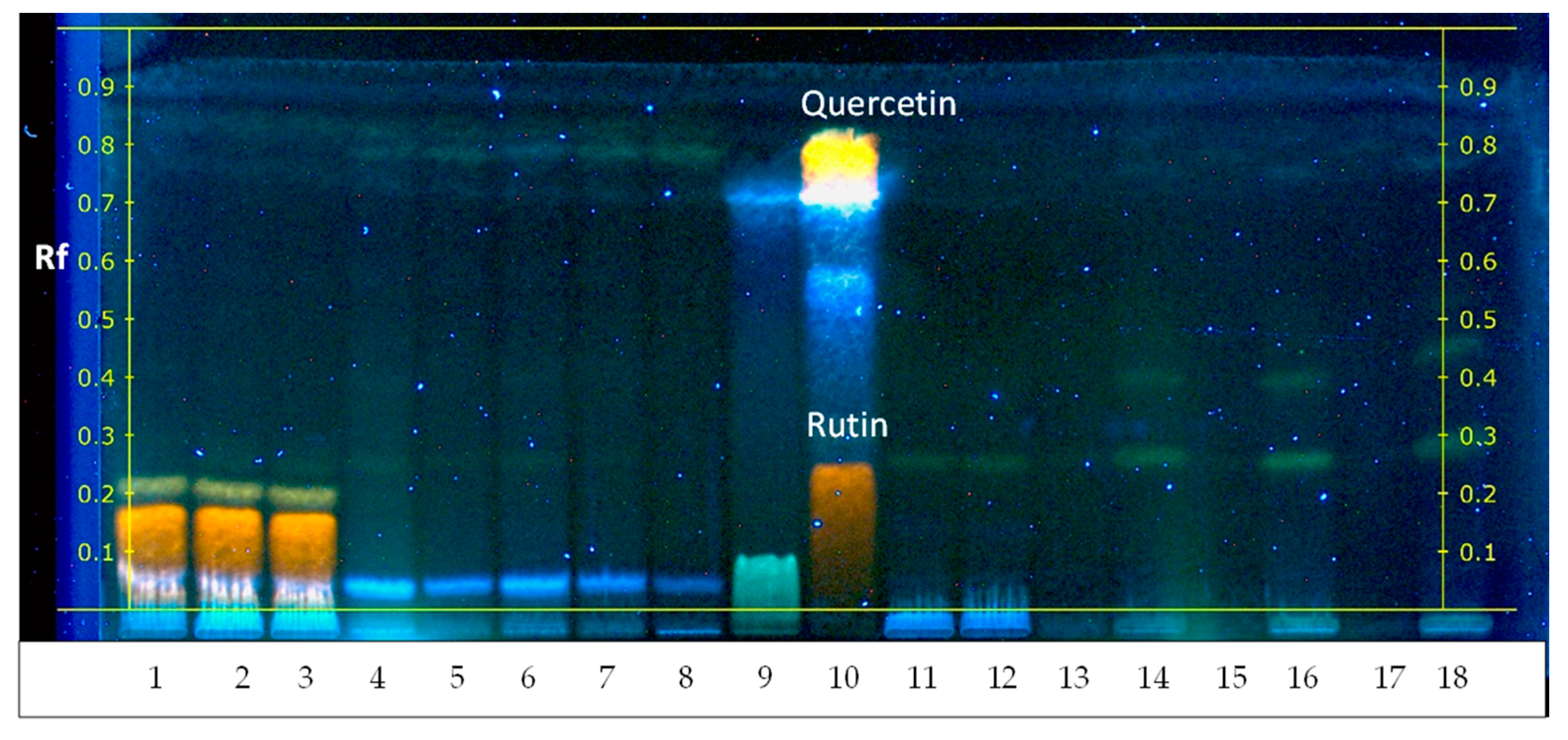 Plants 13 00099 g006