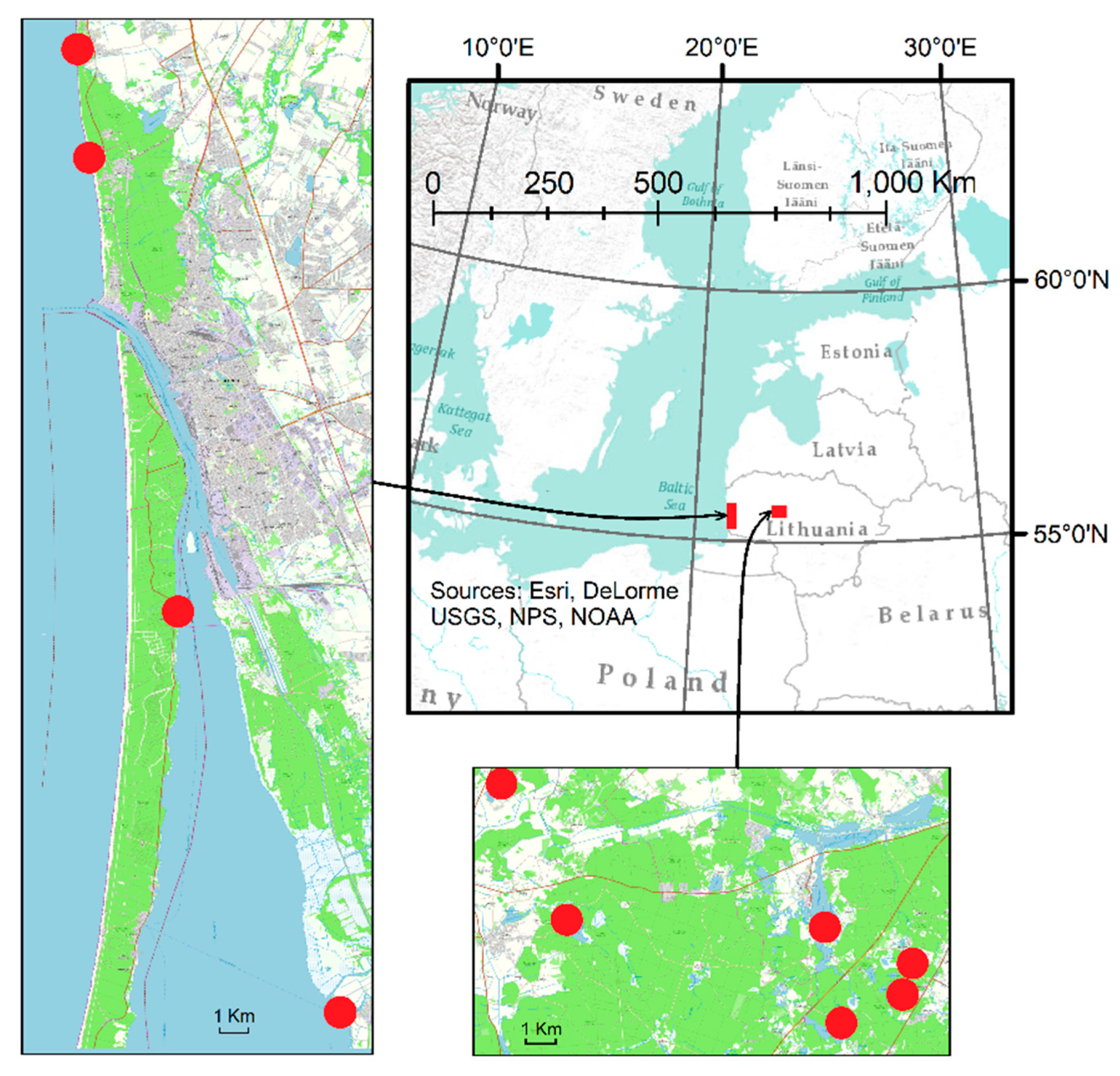 Plants 13 00099 g009