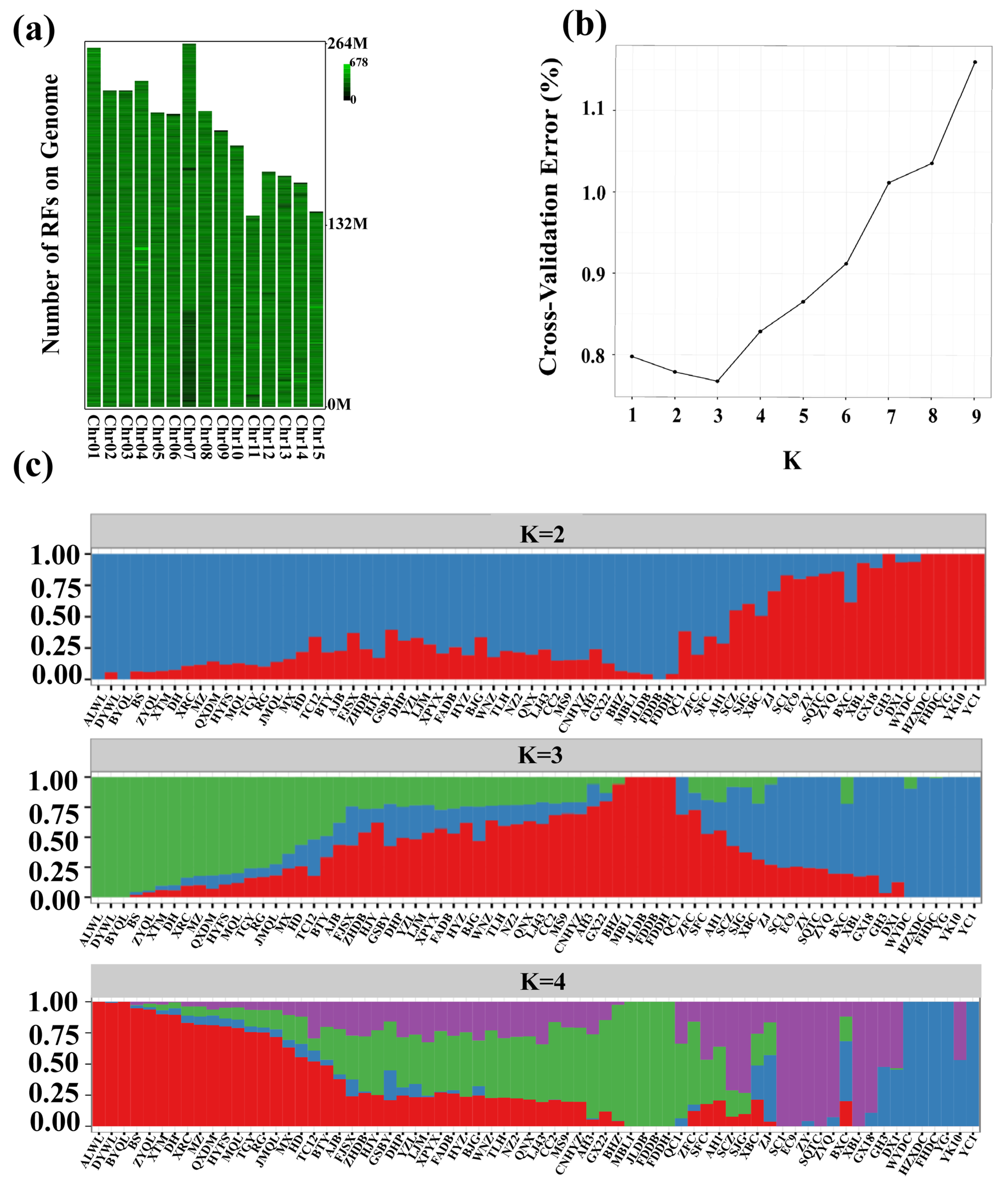 Plants 13 00100 g001