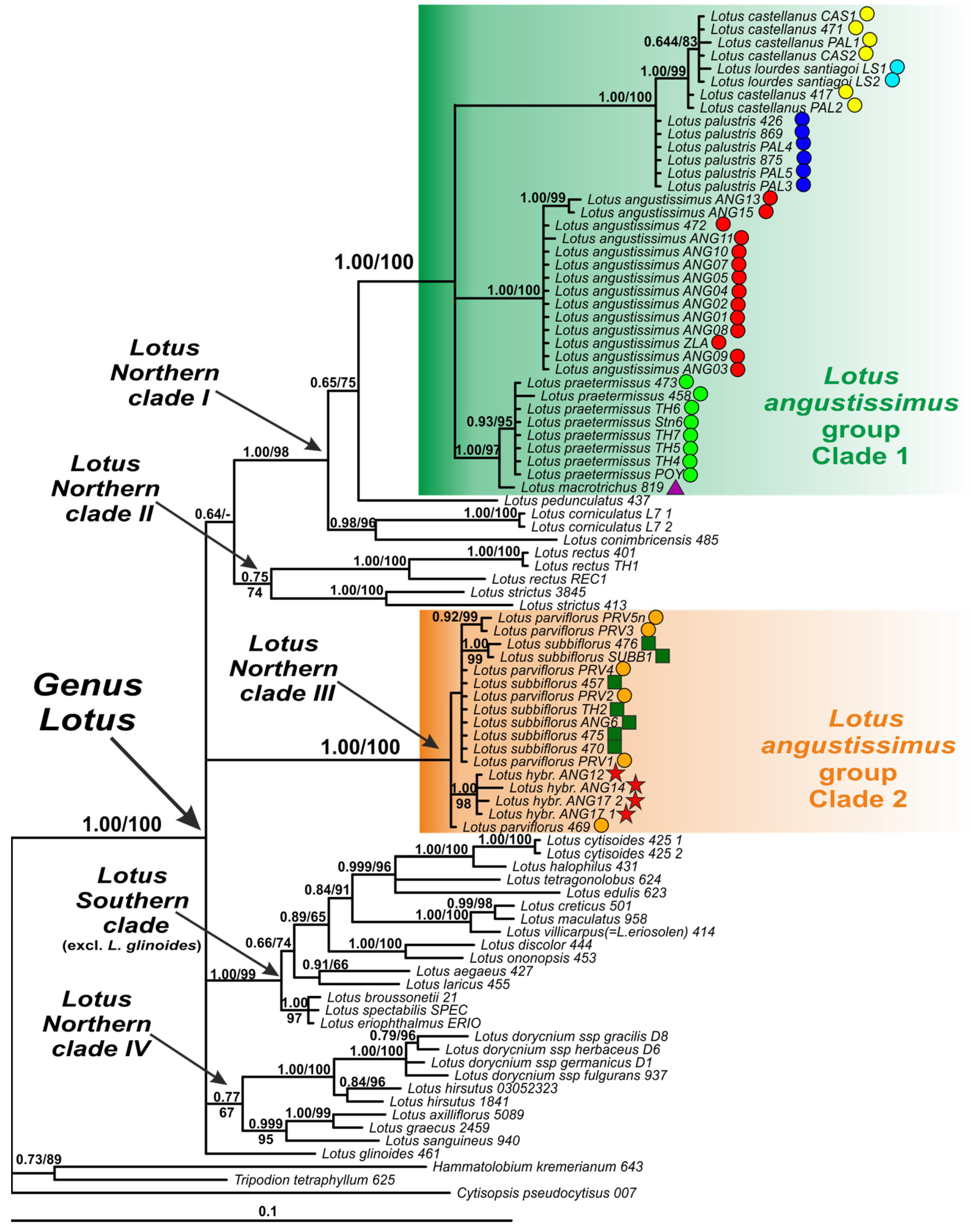 Plants 13 00101 g002
