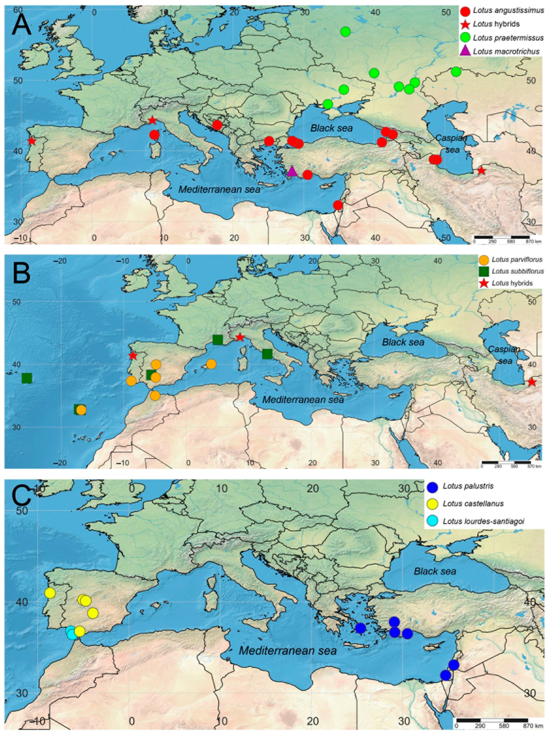 Plants 13 00101 g004