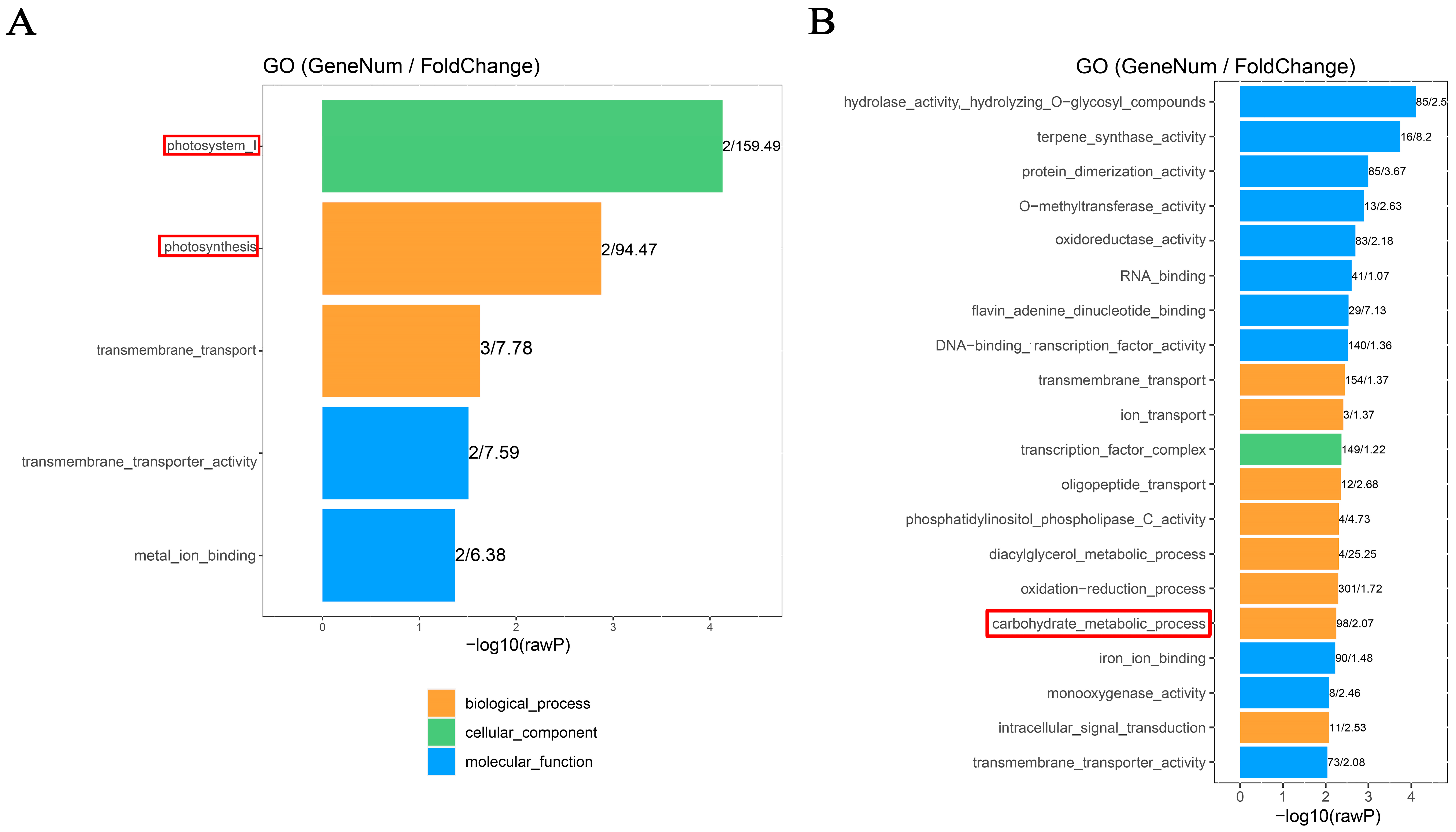 Plants 13 00103 g002