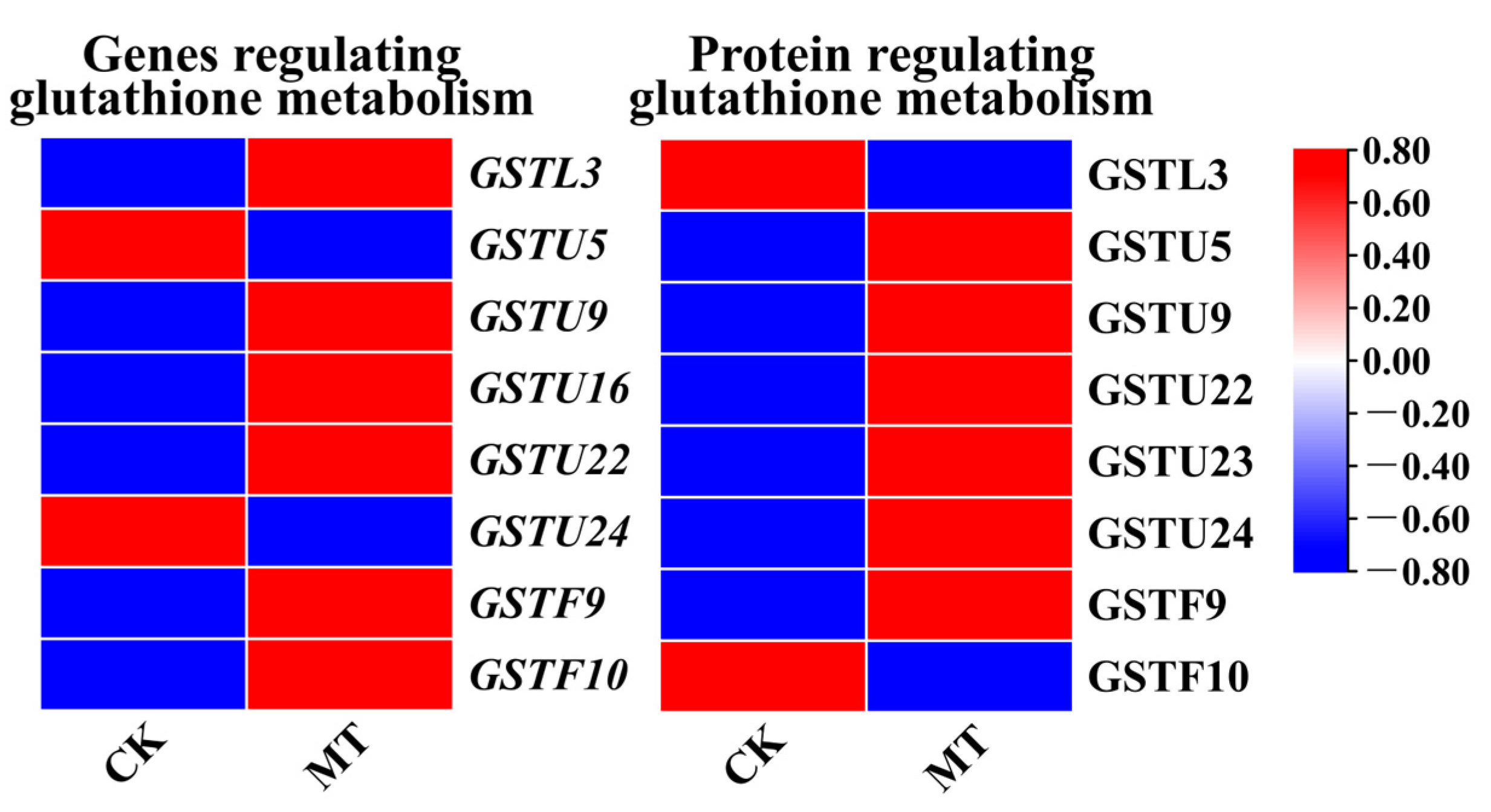 Plants 13 00106 g004