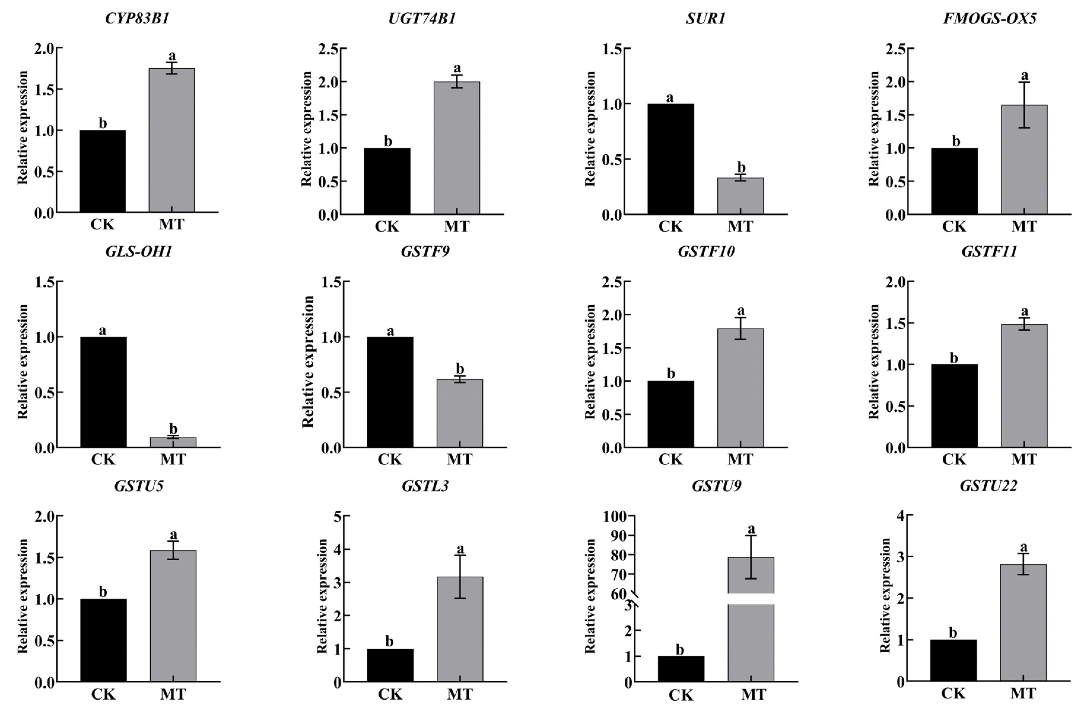 Plants 13 00106 g007