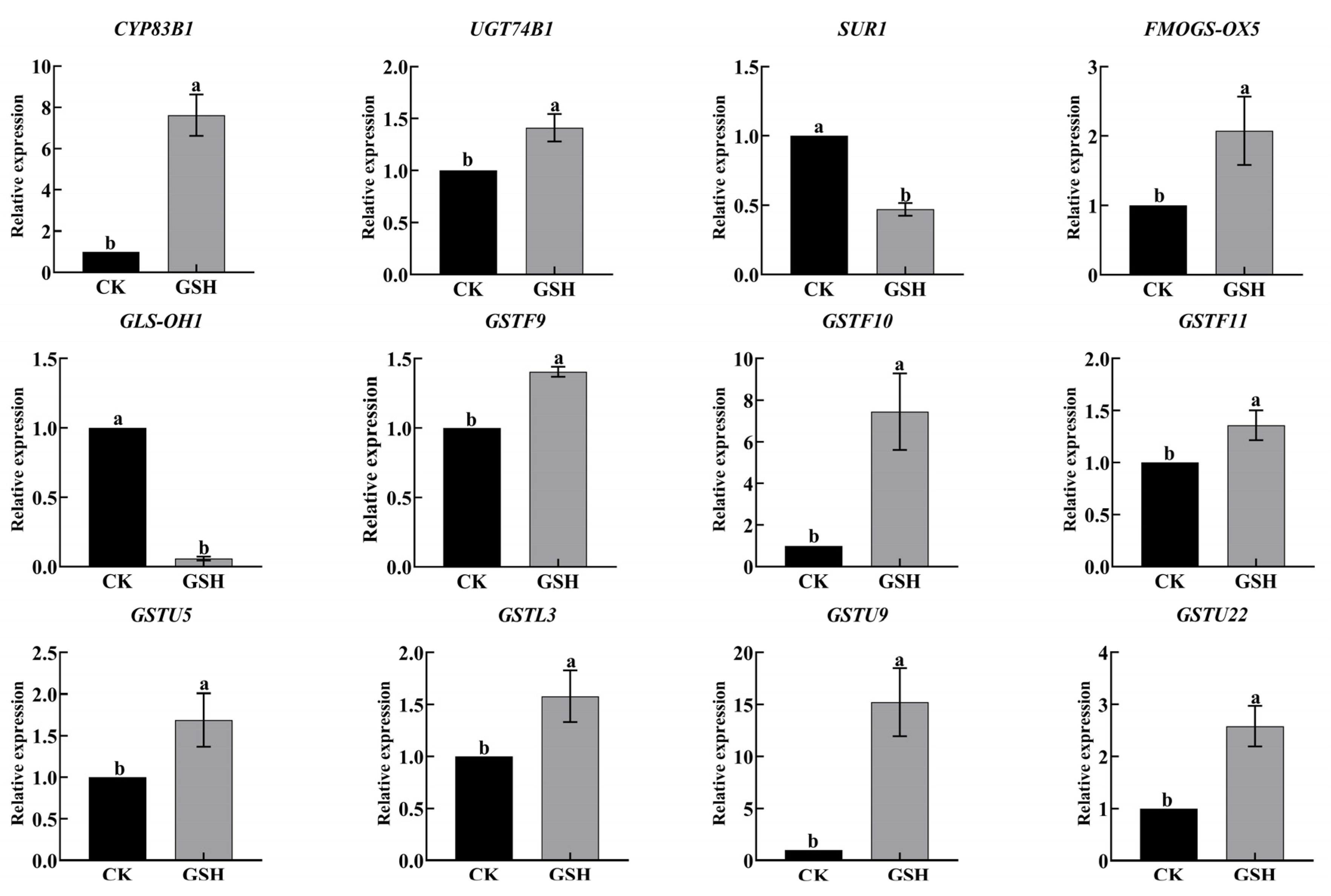 Plants 13 00106 g009