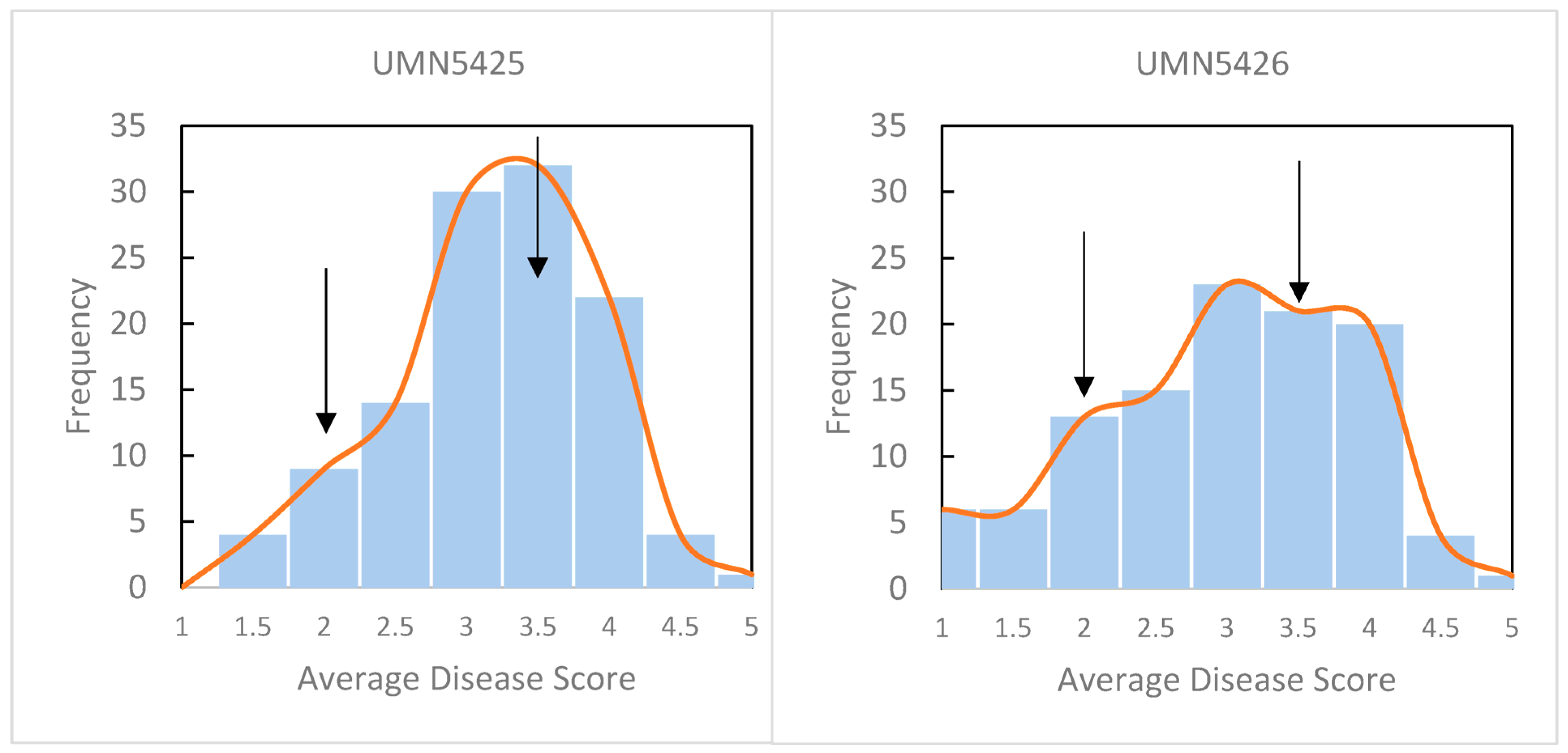 Plants 13 00110 g001