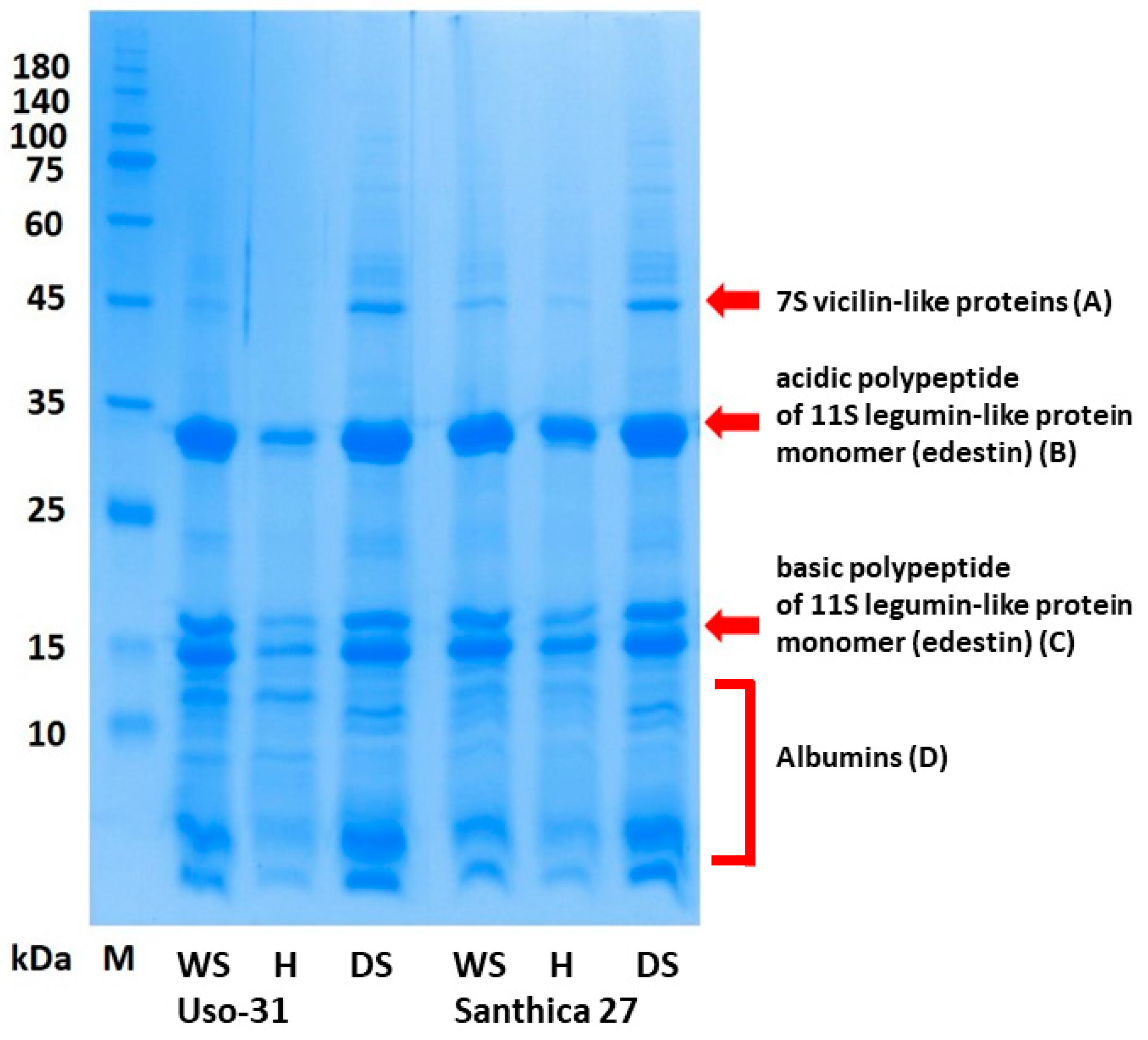 Plants 13 00111 g001