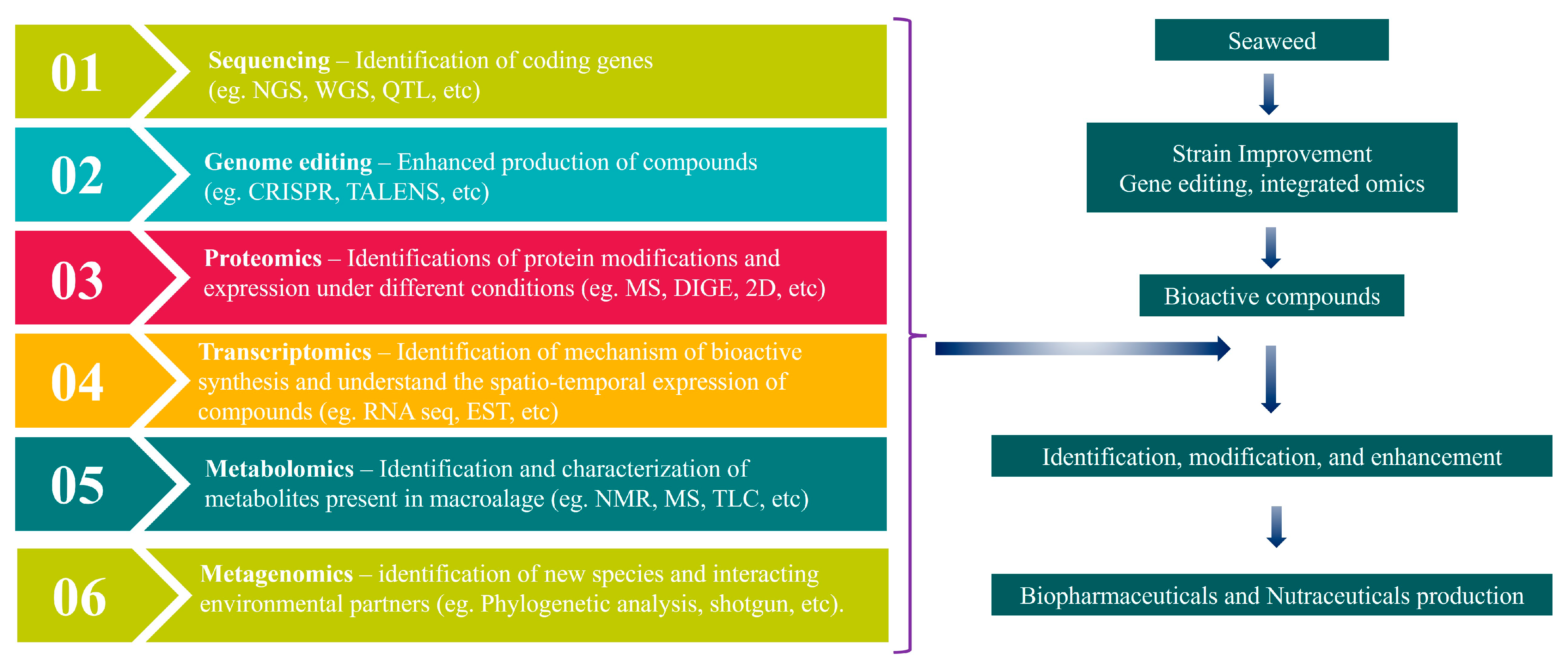 Plants 13 00113 g002