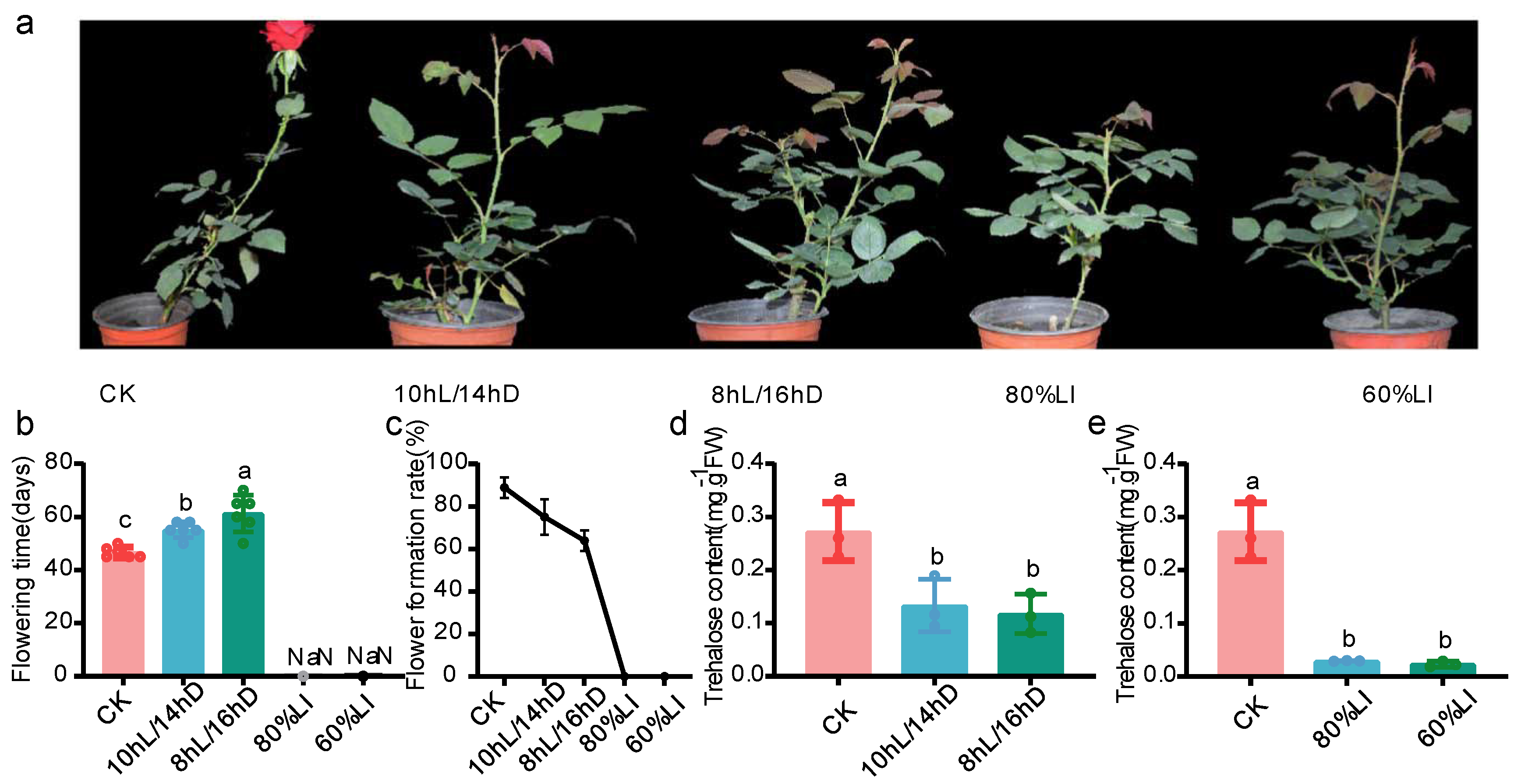 Plants 13 00114 g001
