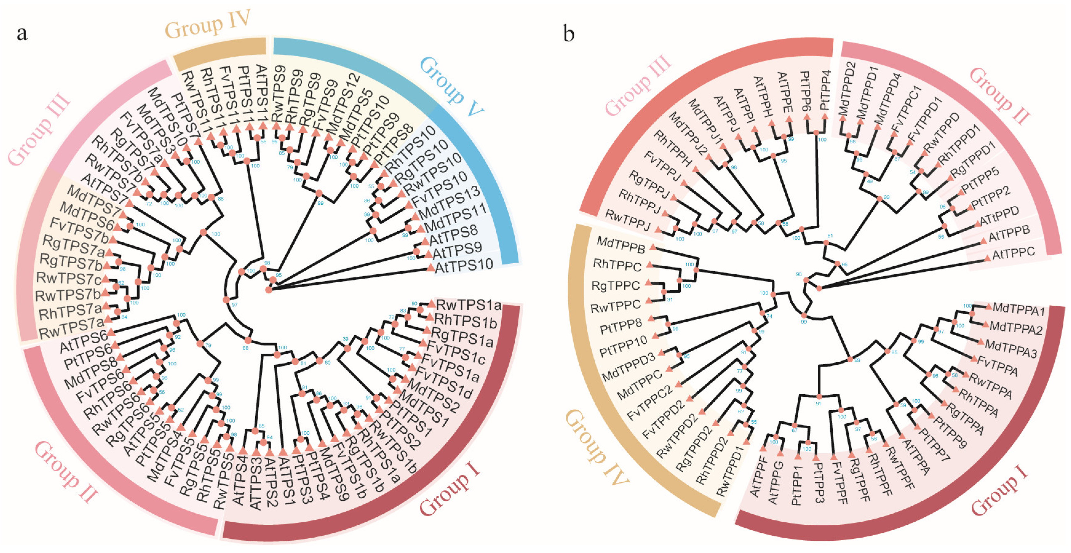 Plants 13 00114 g002