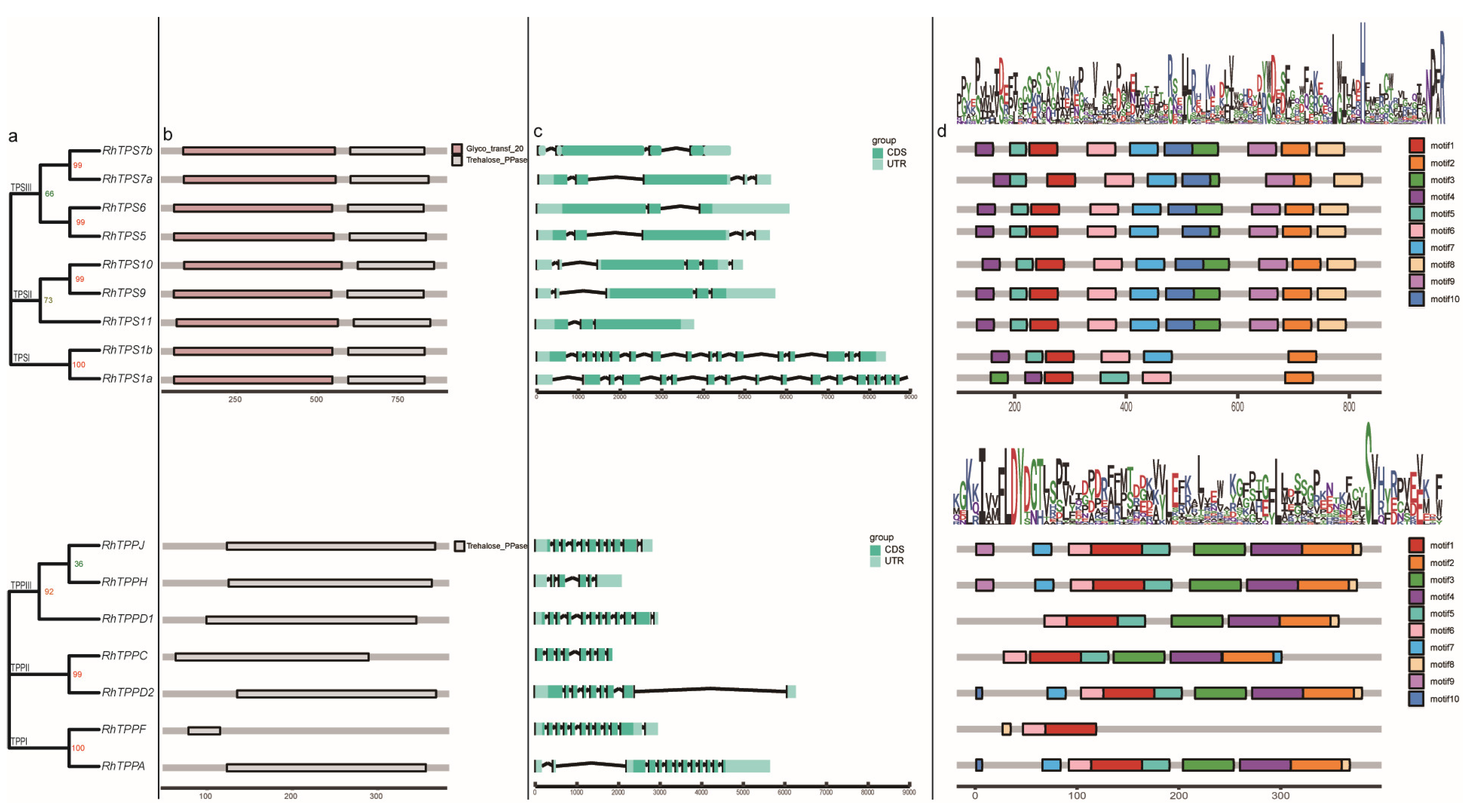 Plants 13 00114 g003