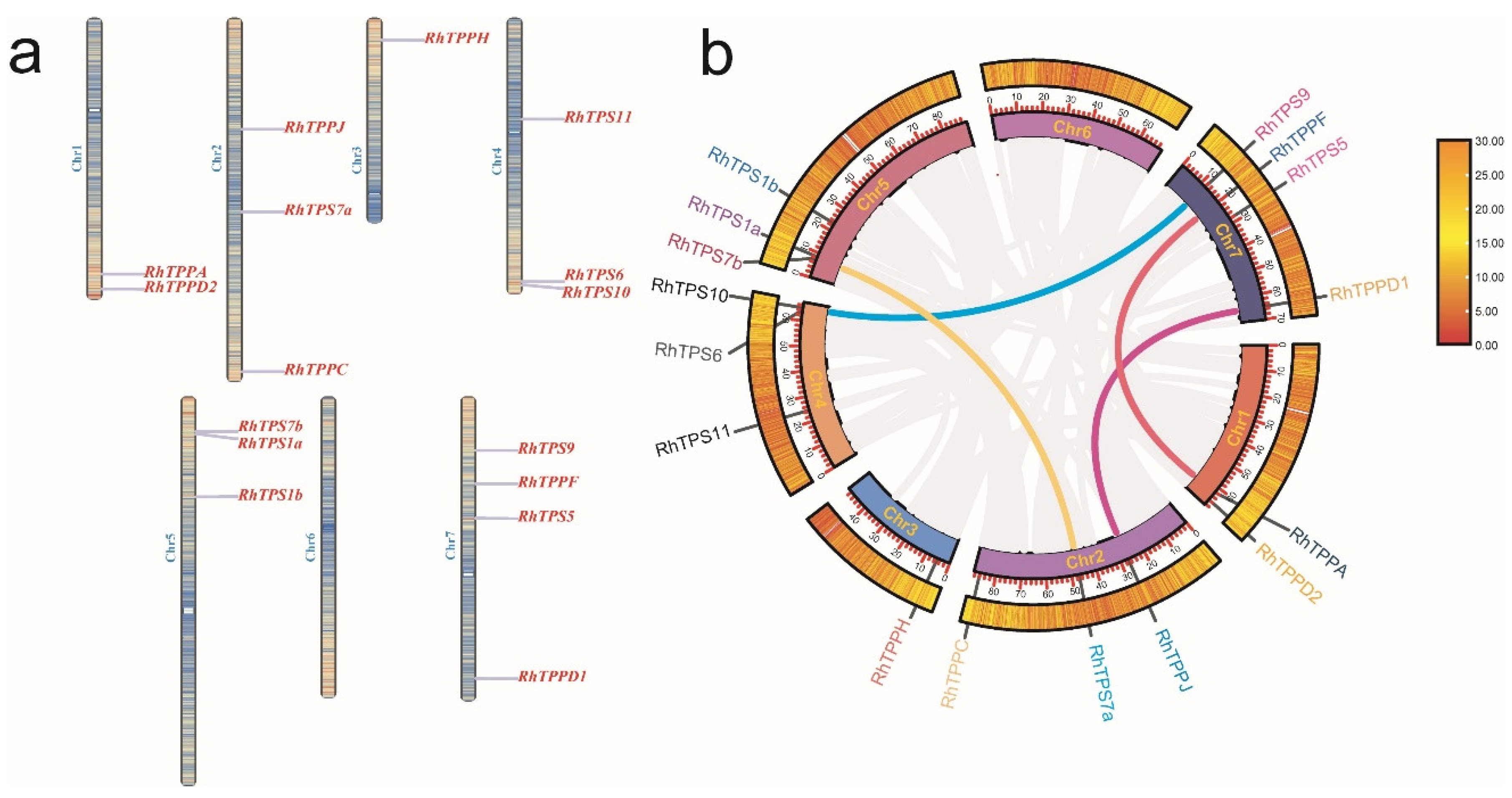 Plants 13 00114 g004