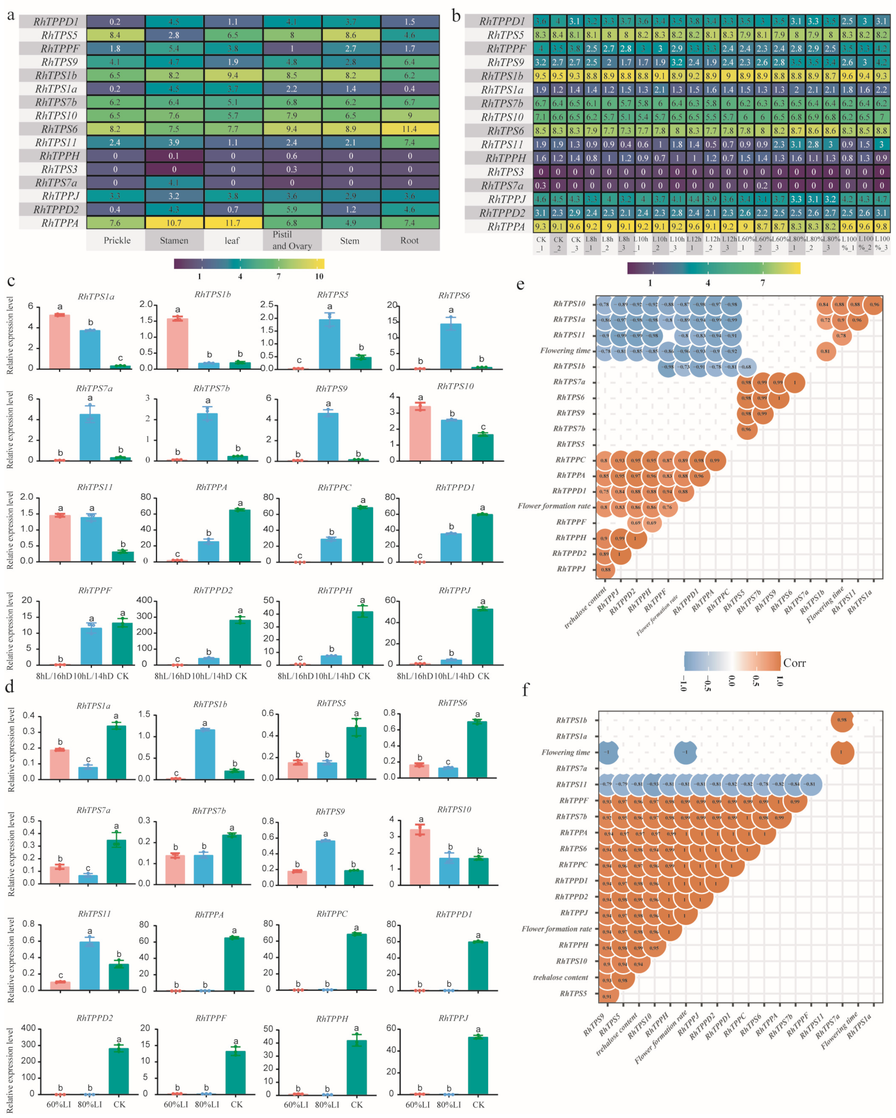 Plants 13 00114 g006