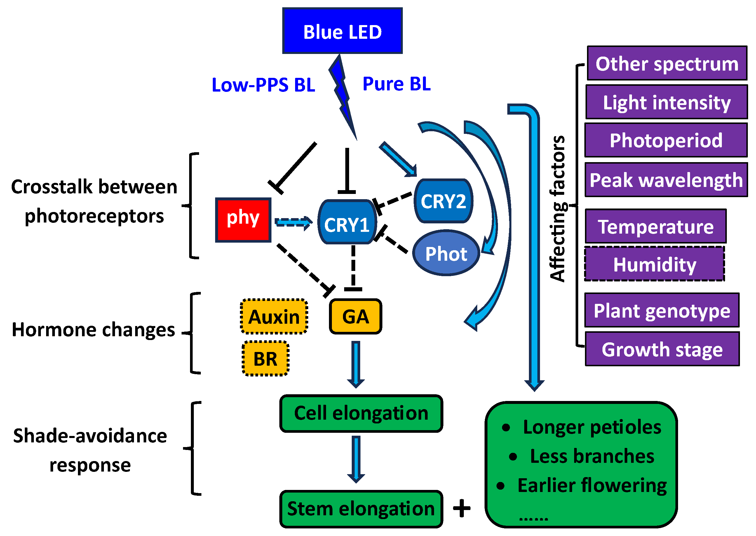 Plants 13 00115 g006
