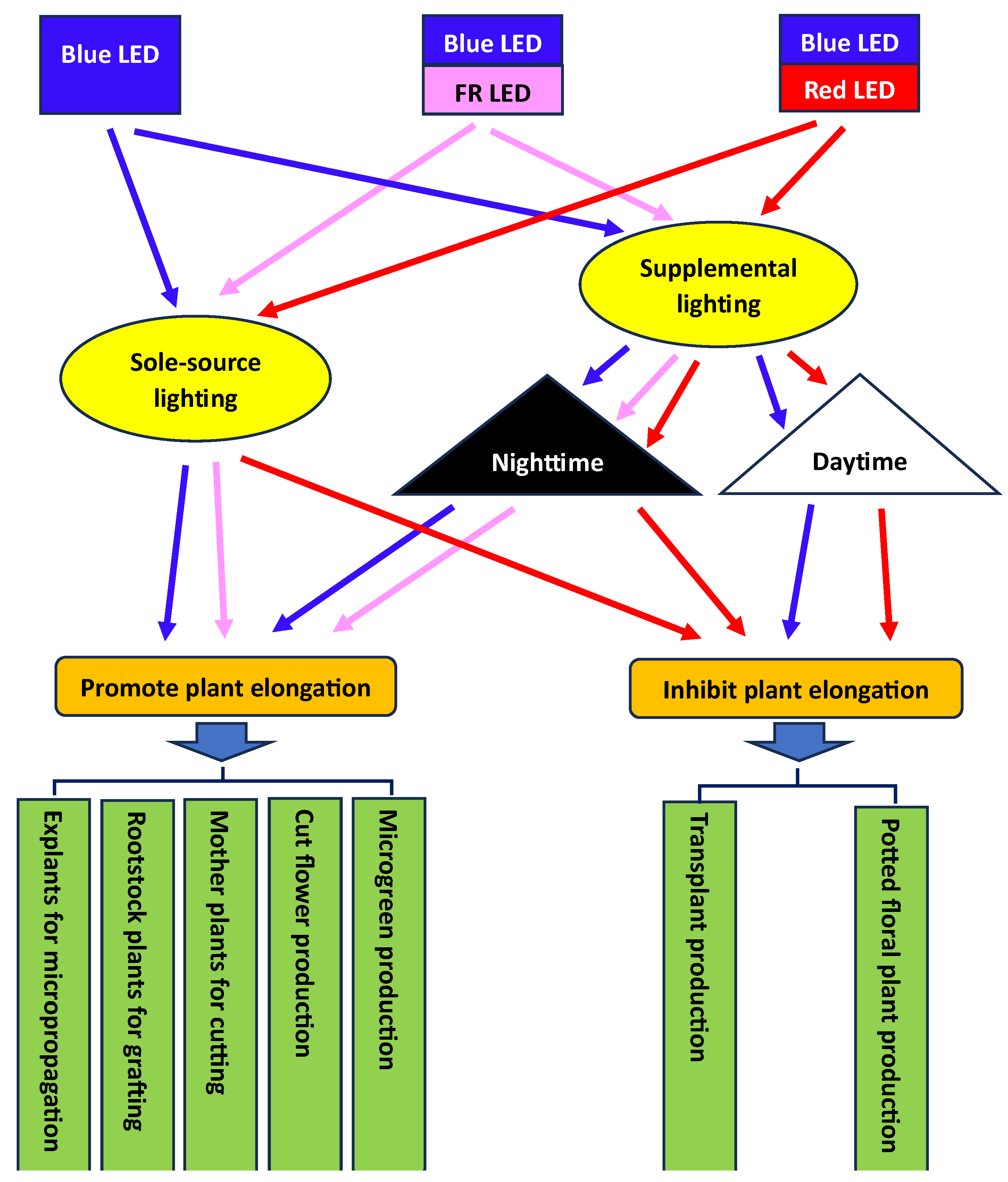 Plants 13 00115 g007