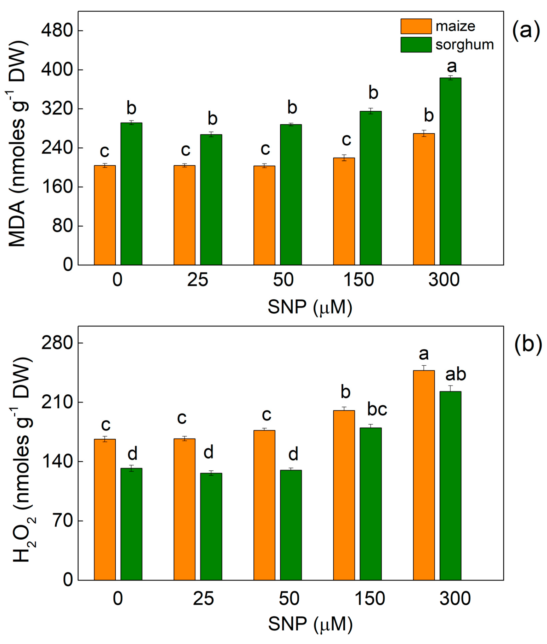 Plants 13 00118 g001