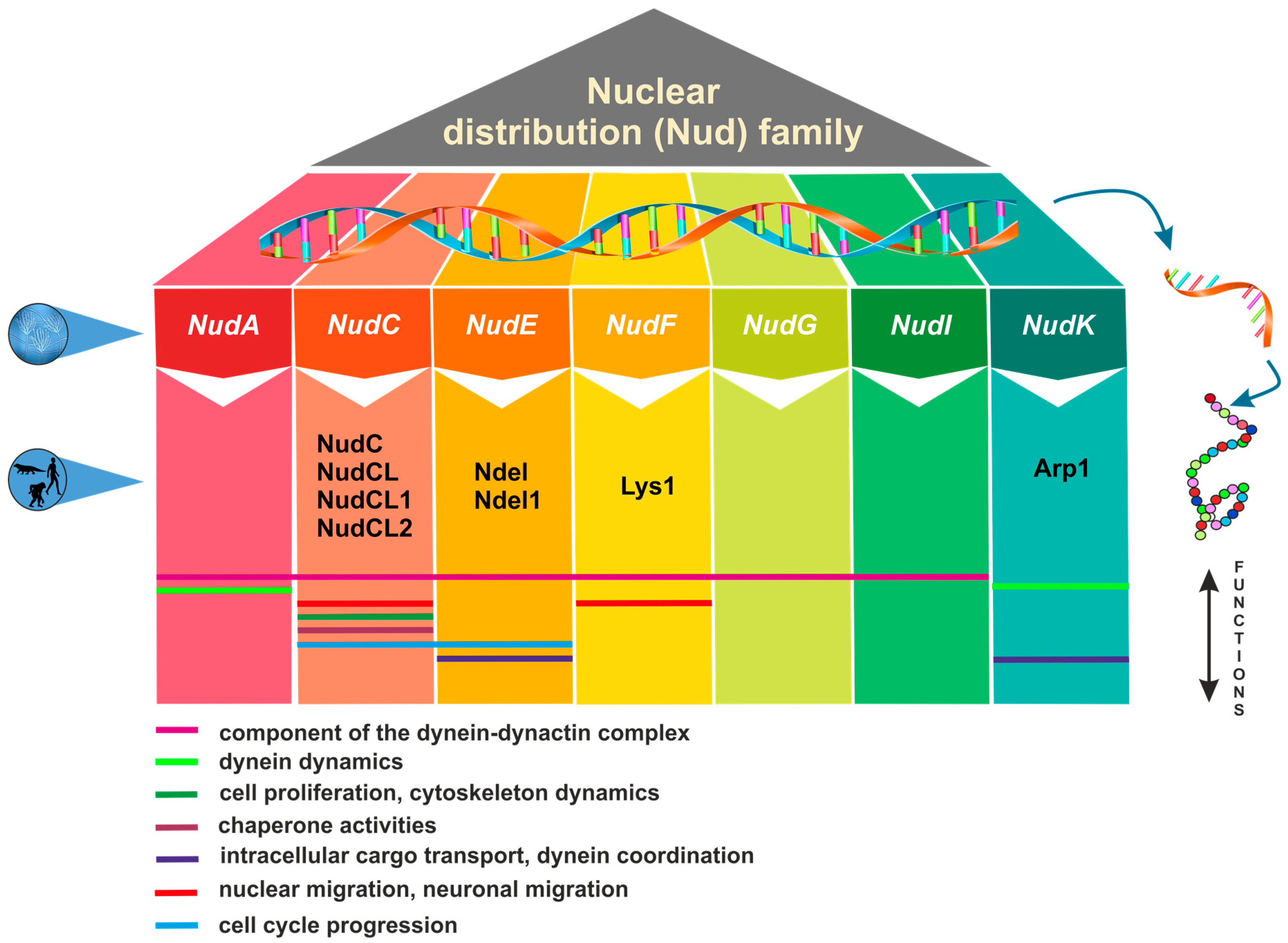 Plants 13 00119 g001