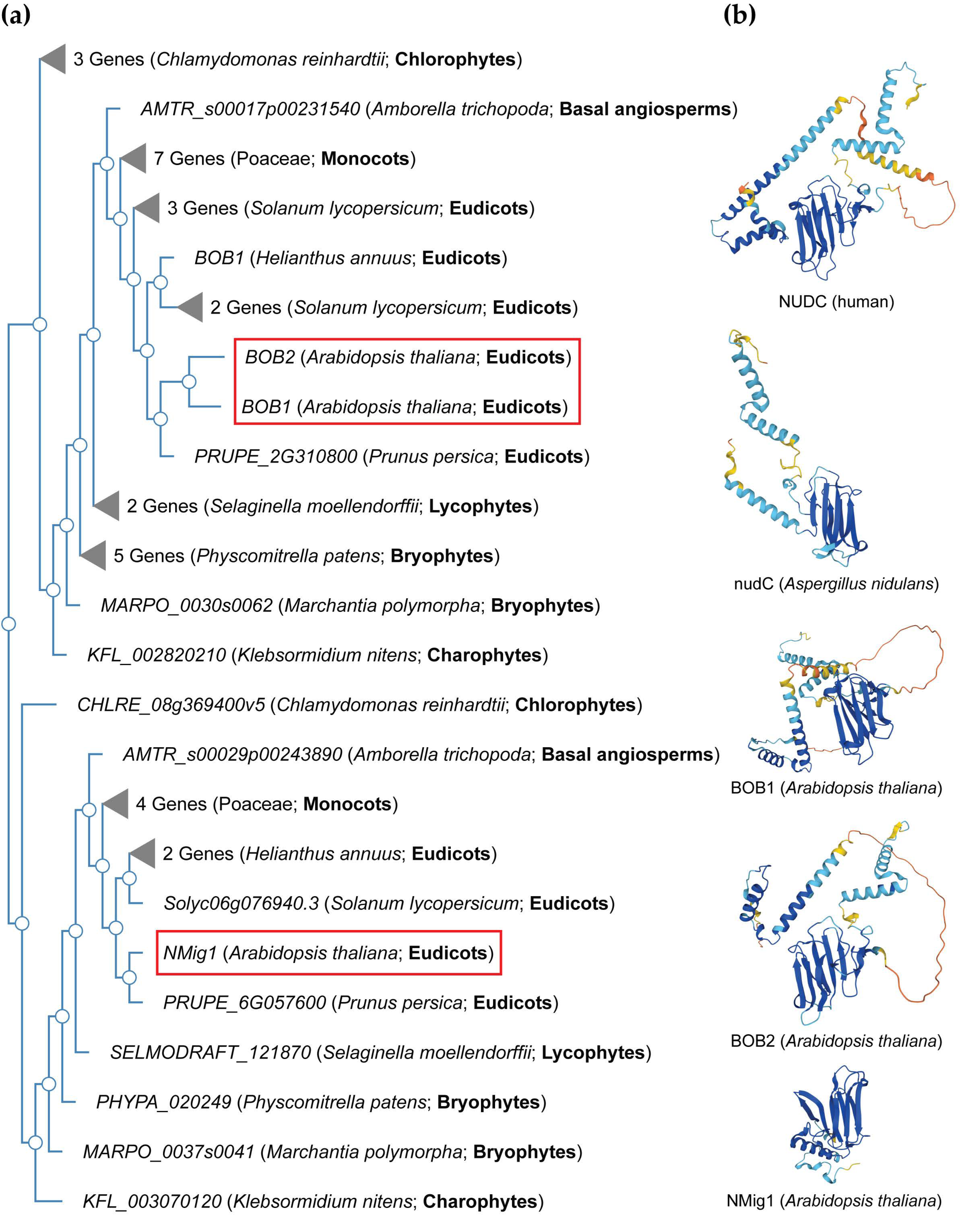 Plants 13 00119 g002