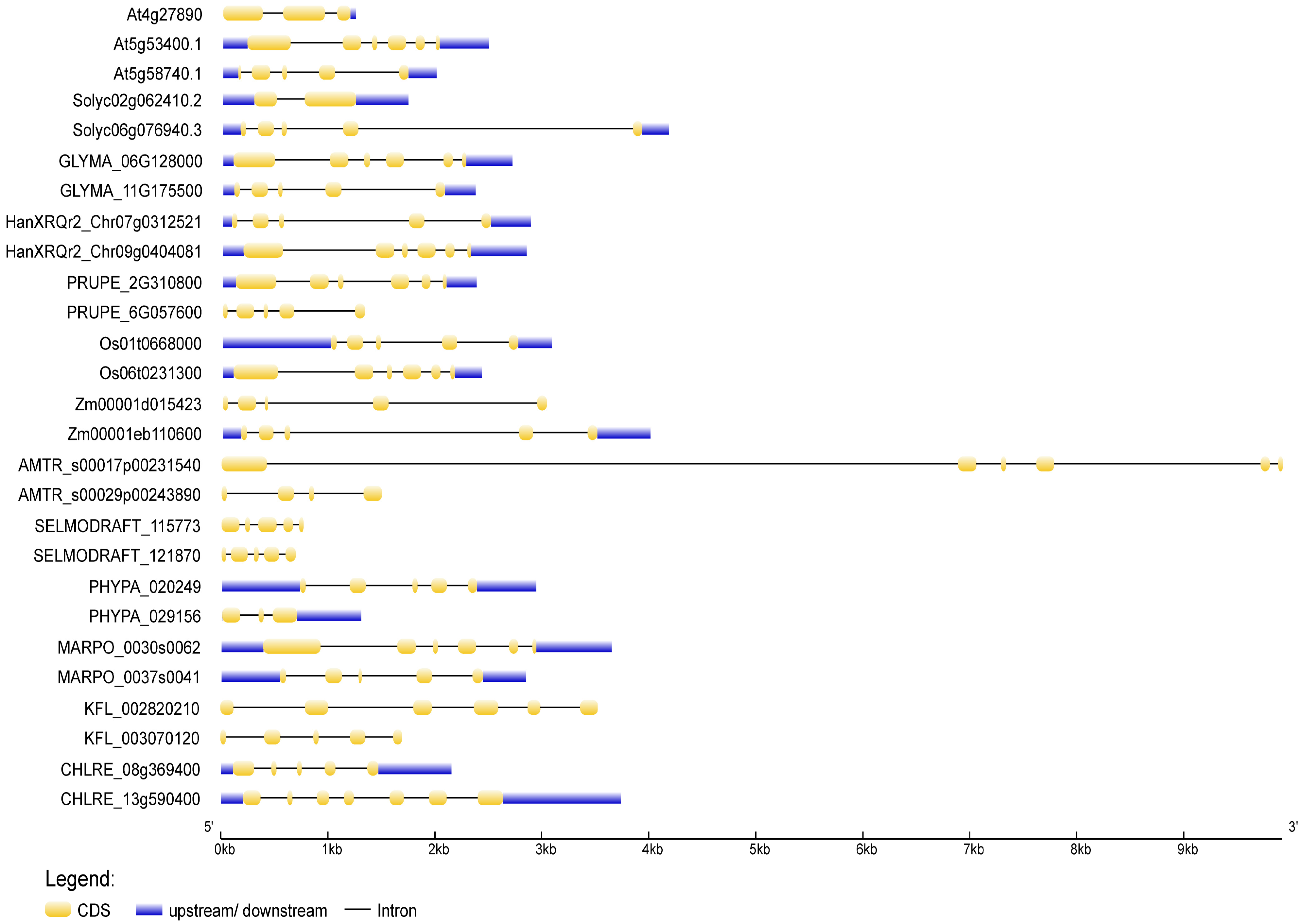 Plants 13 00119 g003