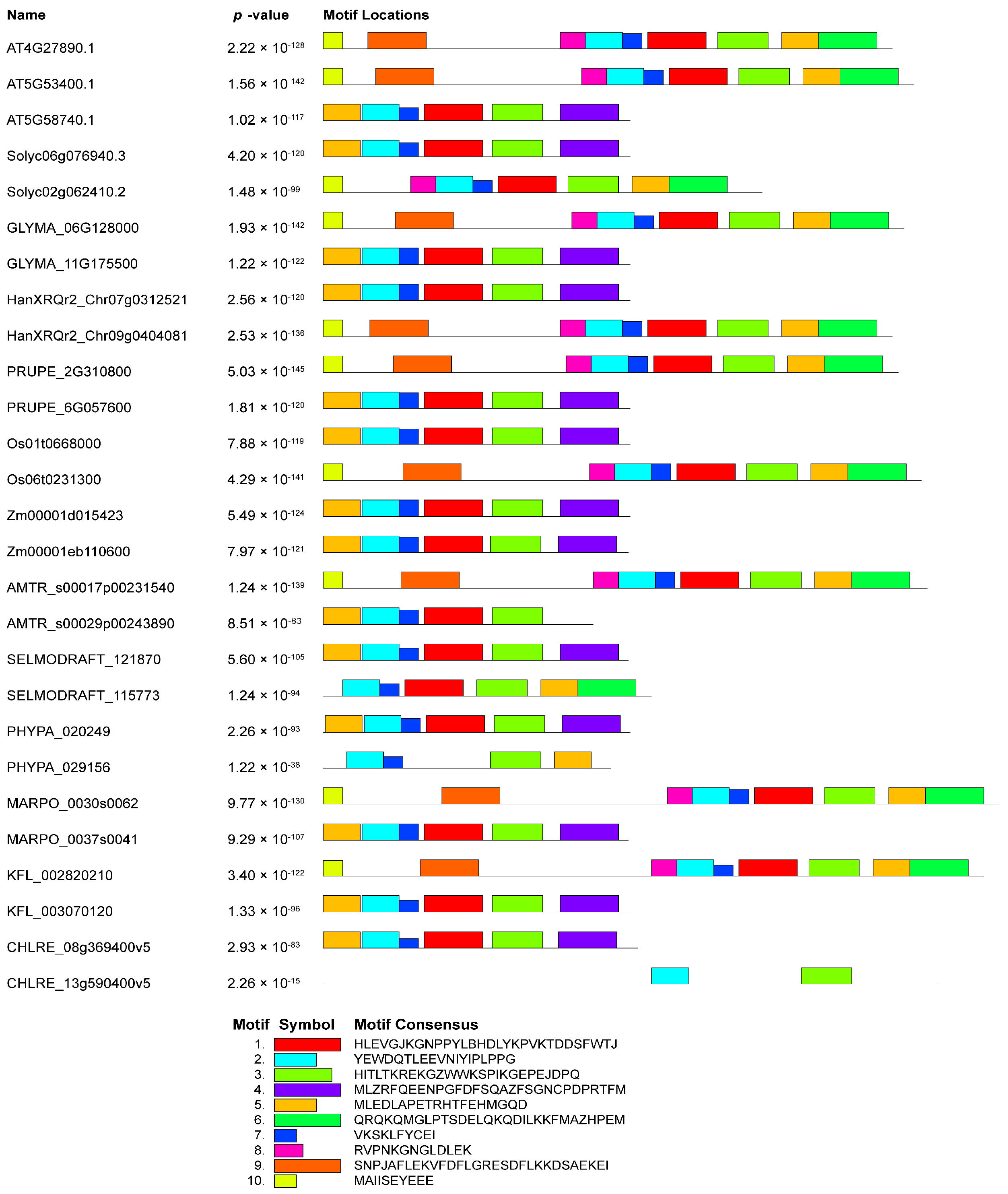 Plants 13 00119 g004