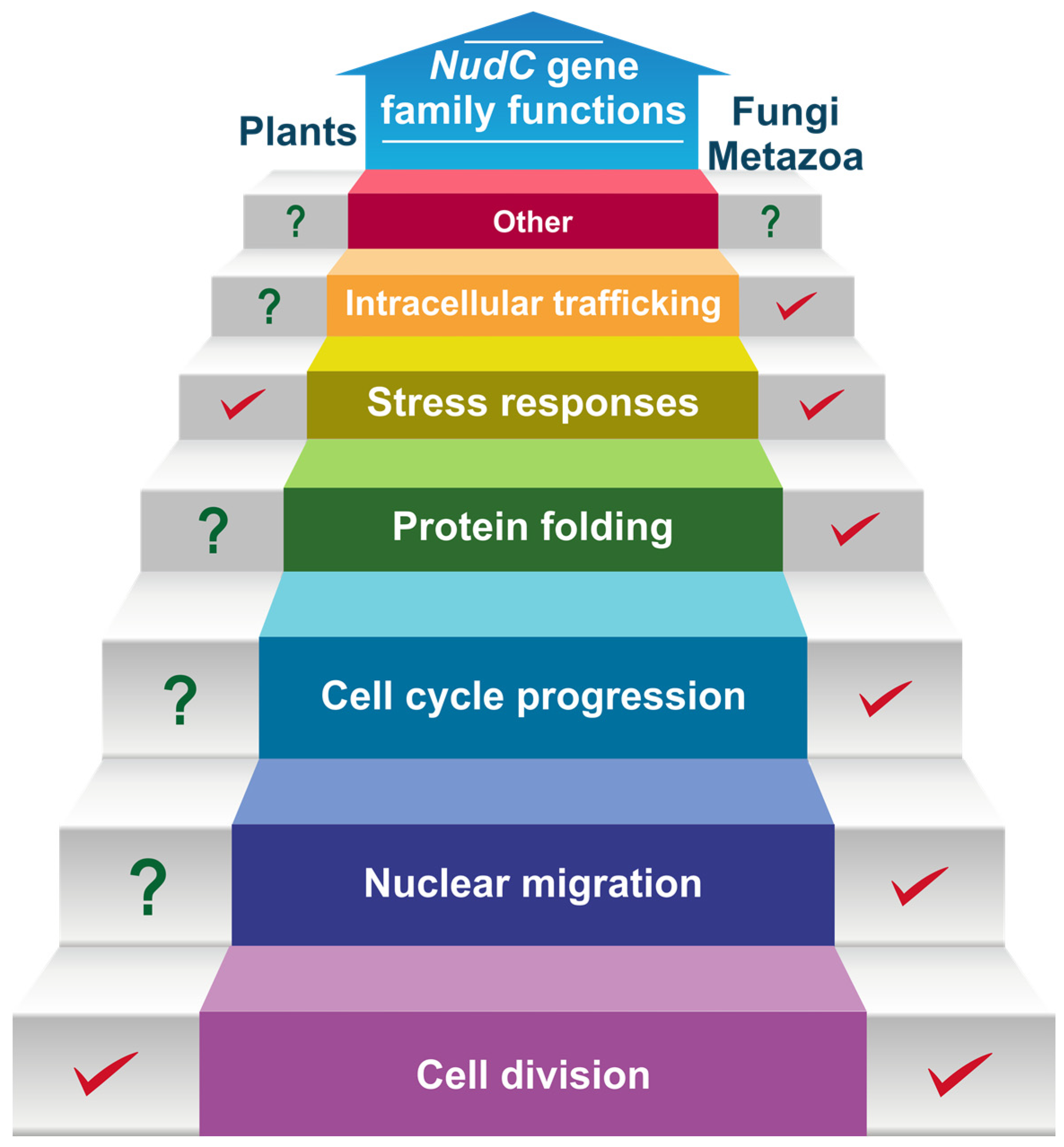 Plants 13 00119 g005