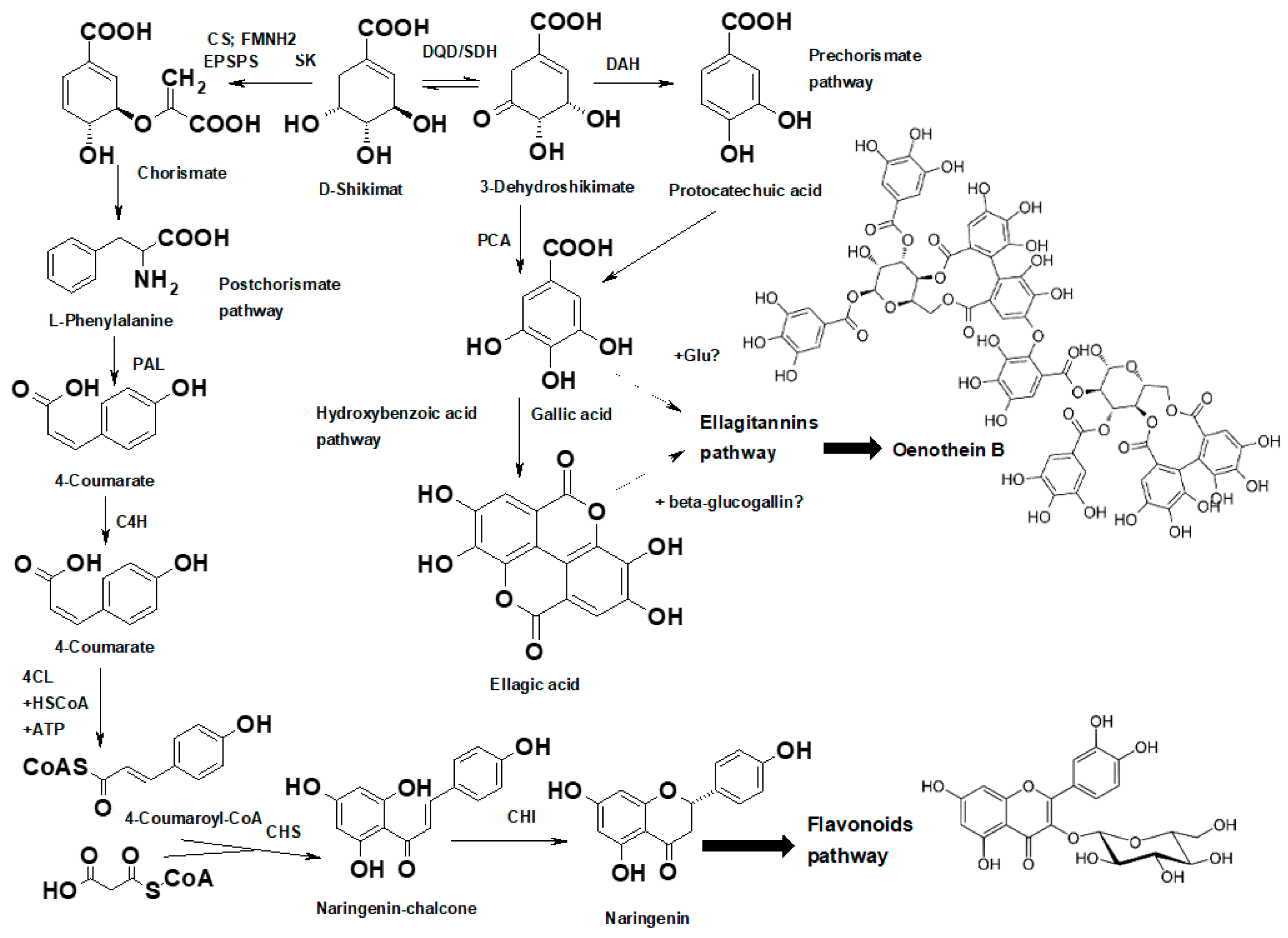 Plants 13 00120 g005