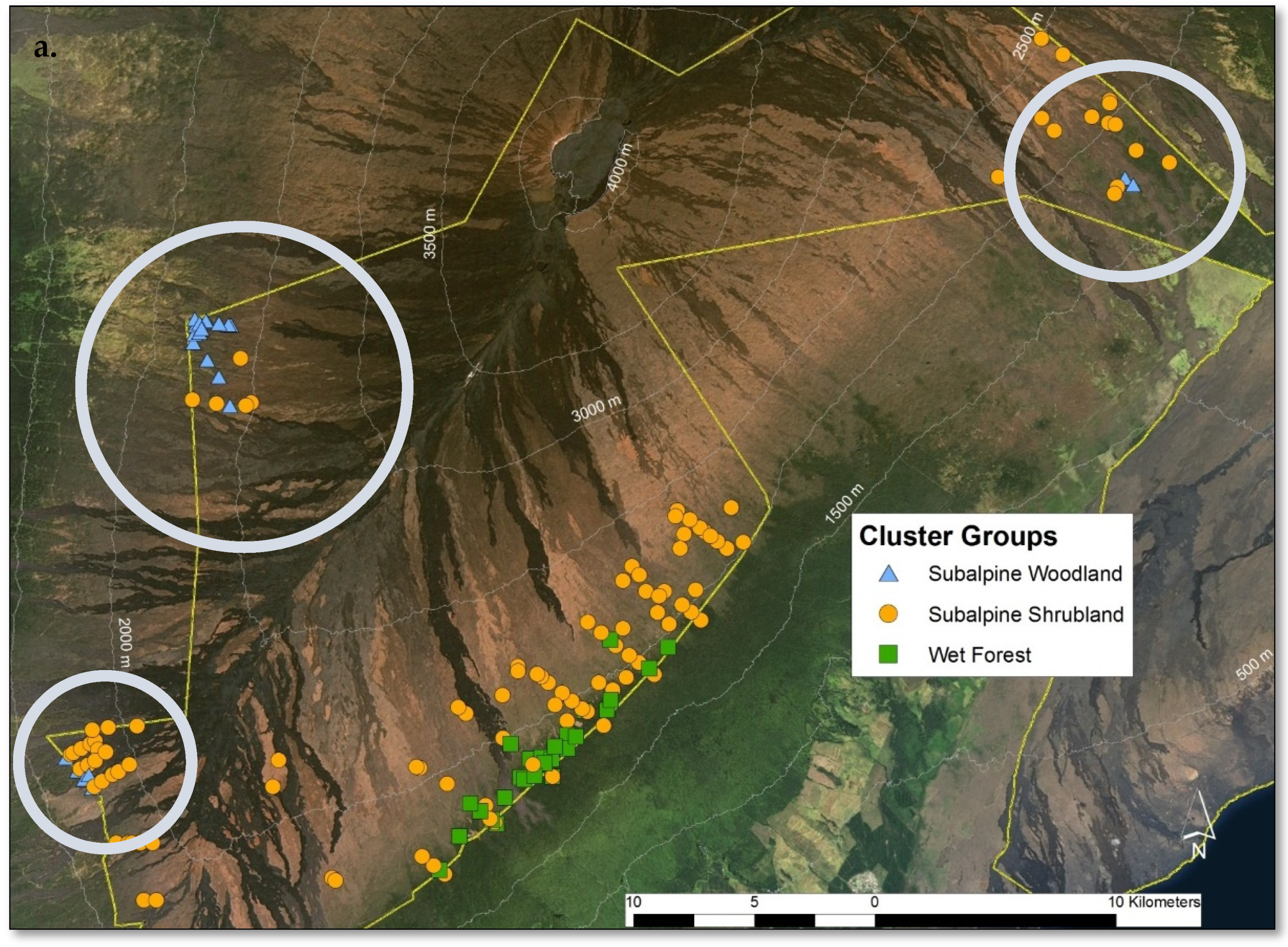 Plants 13 00123 g011a