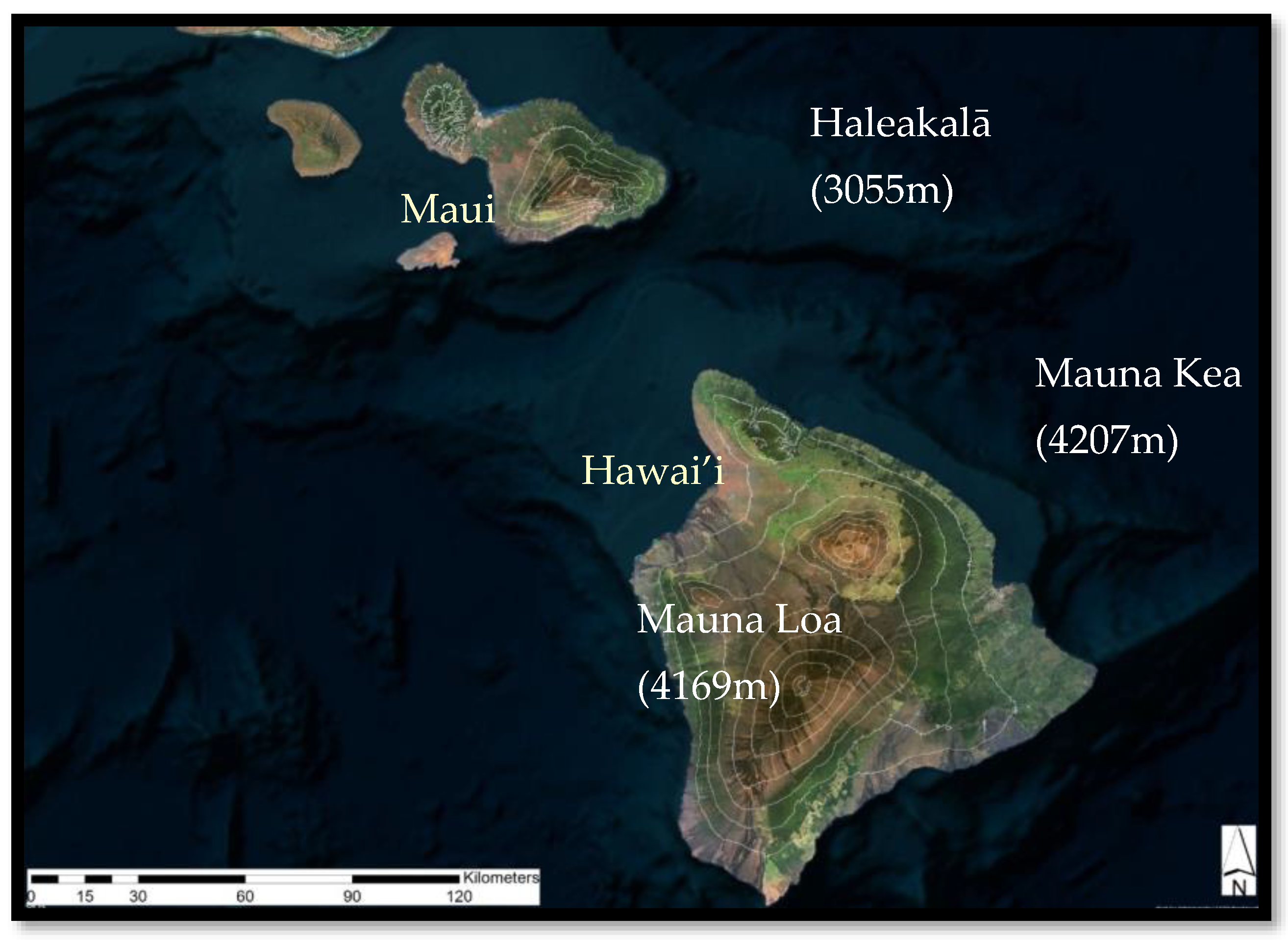 Plants 13 00123 g014