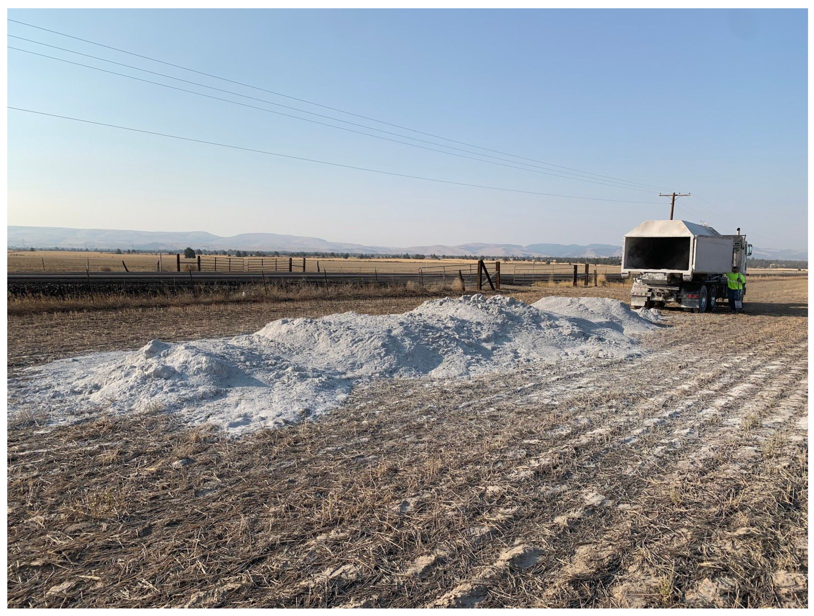 Plants 13 00126 g001