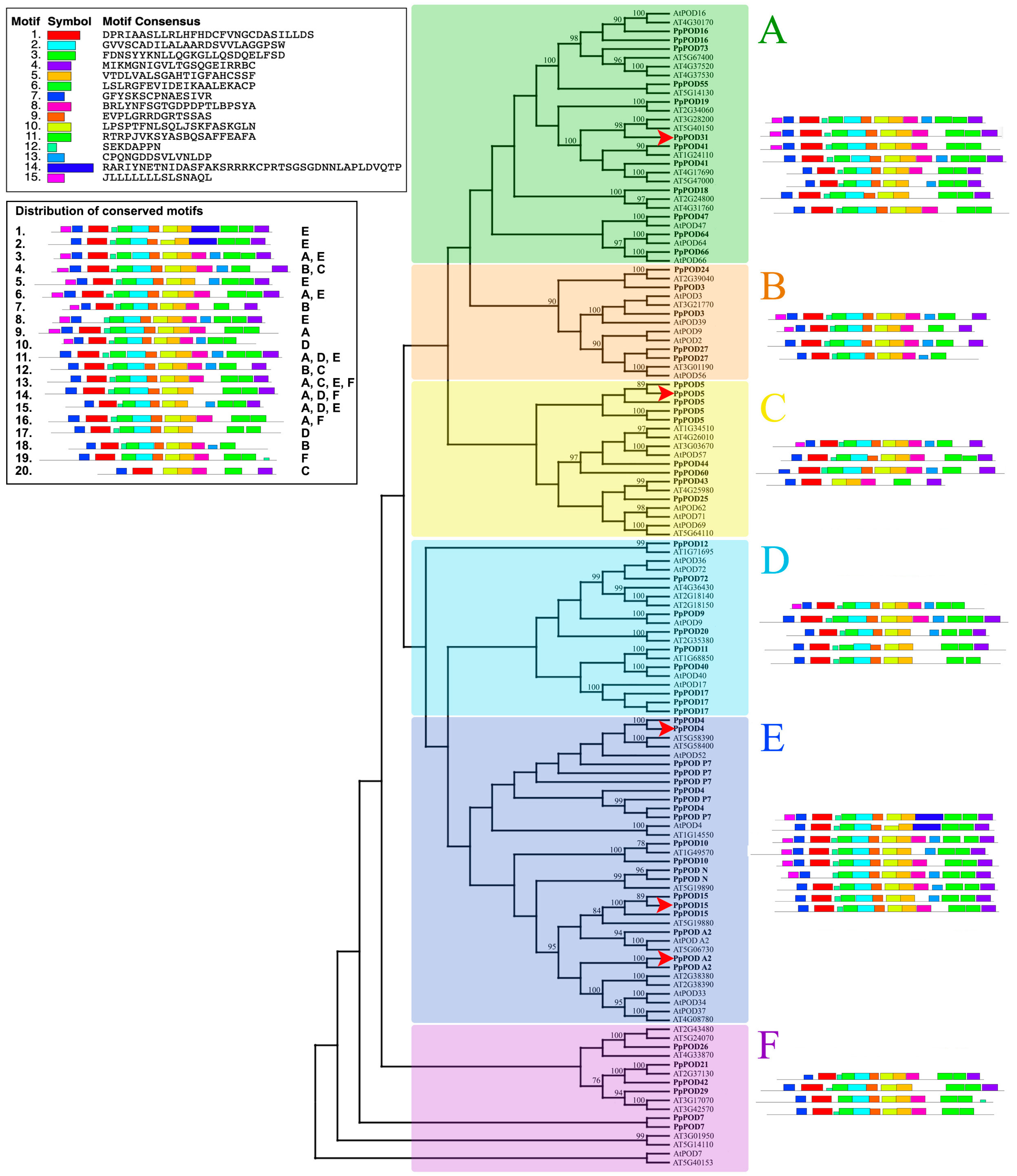 Plants 13 00127 g002